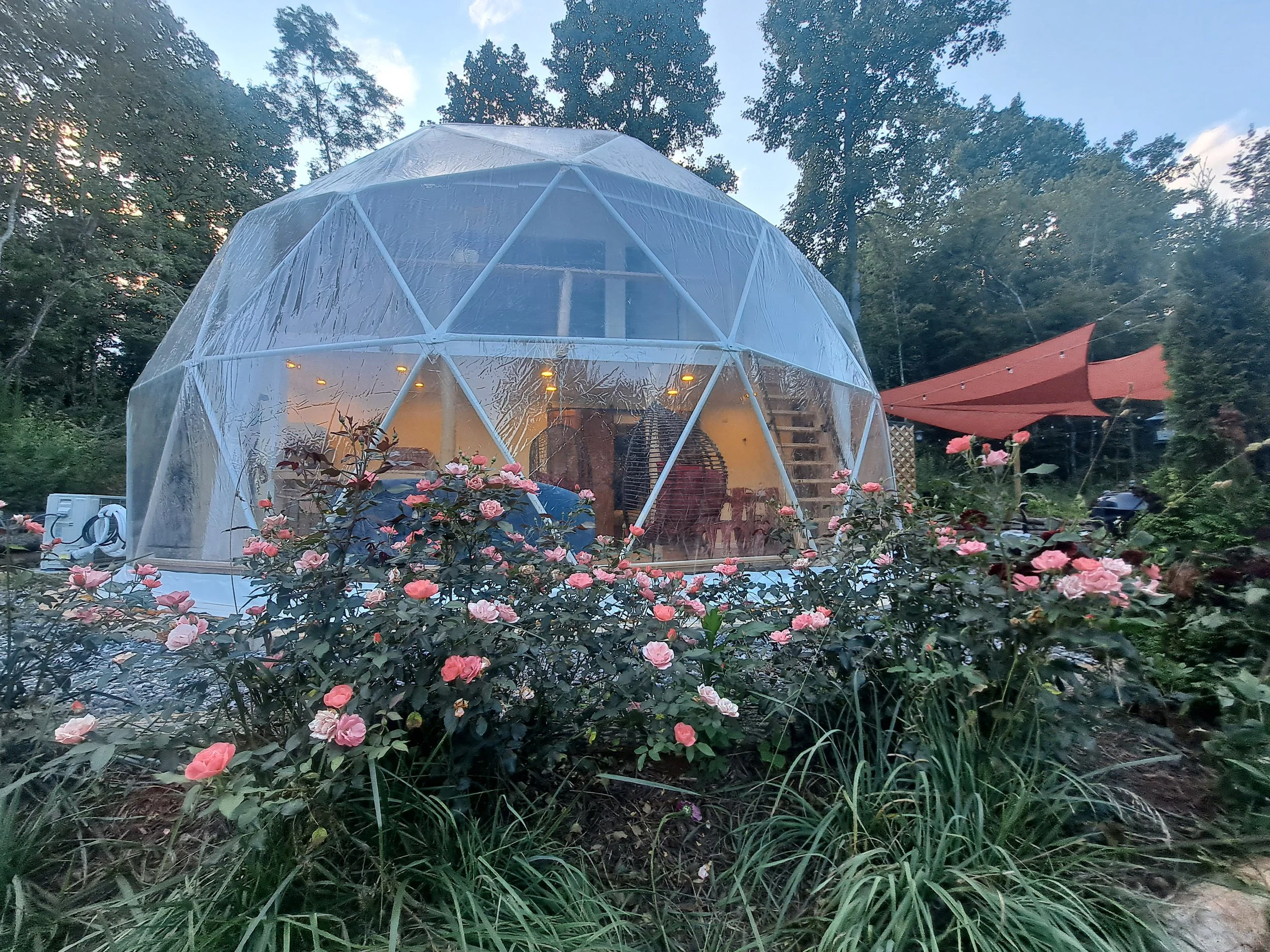 A transparent geodesic dome house surrounded by pink roses and greenery, with trees and a blue sky in the background.