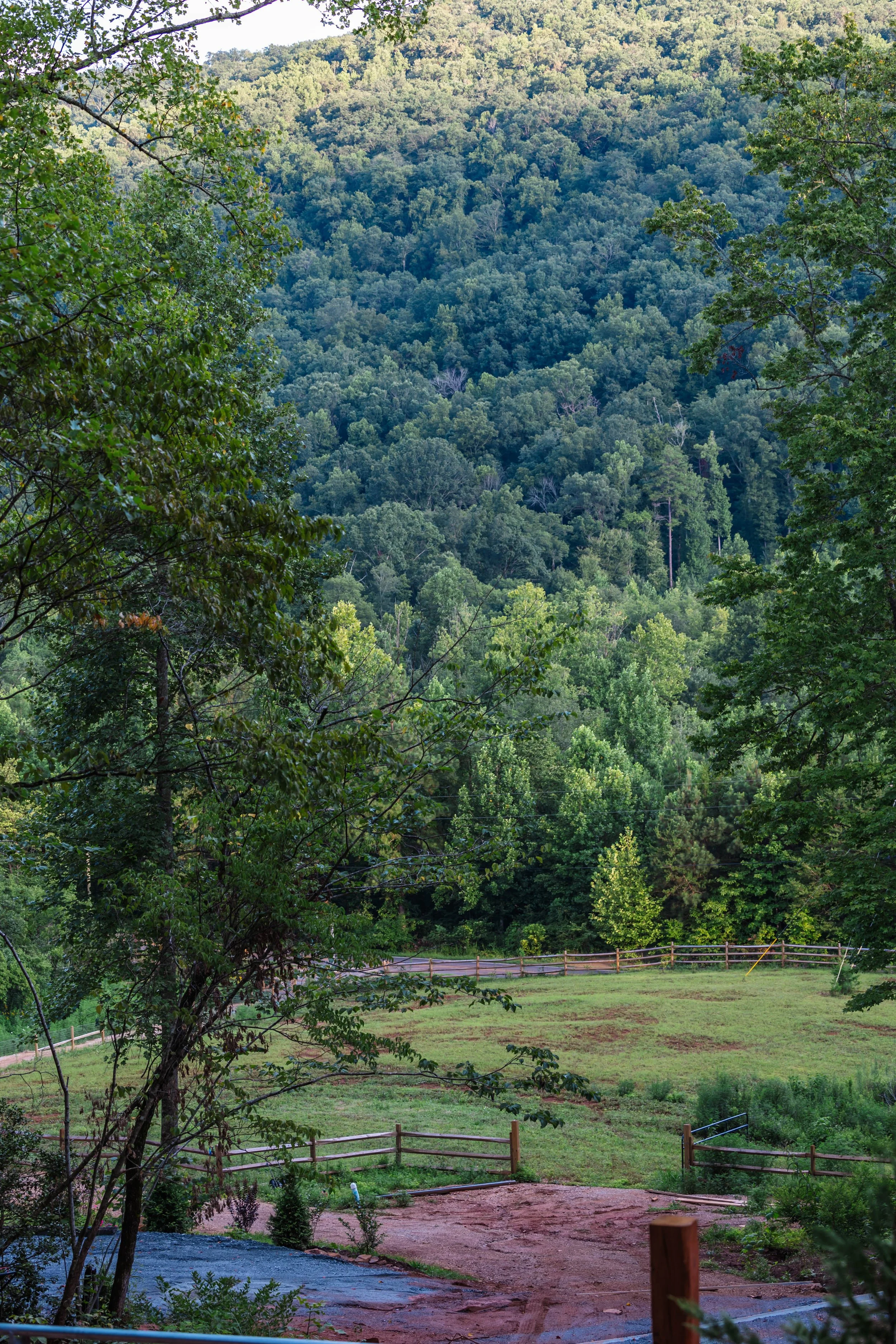 A lush green forested hillside with a cleared grassy area and a wooden fence in the foreground.