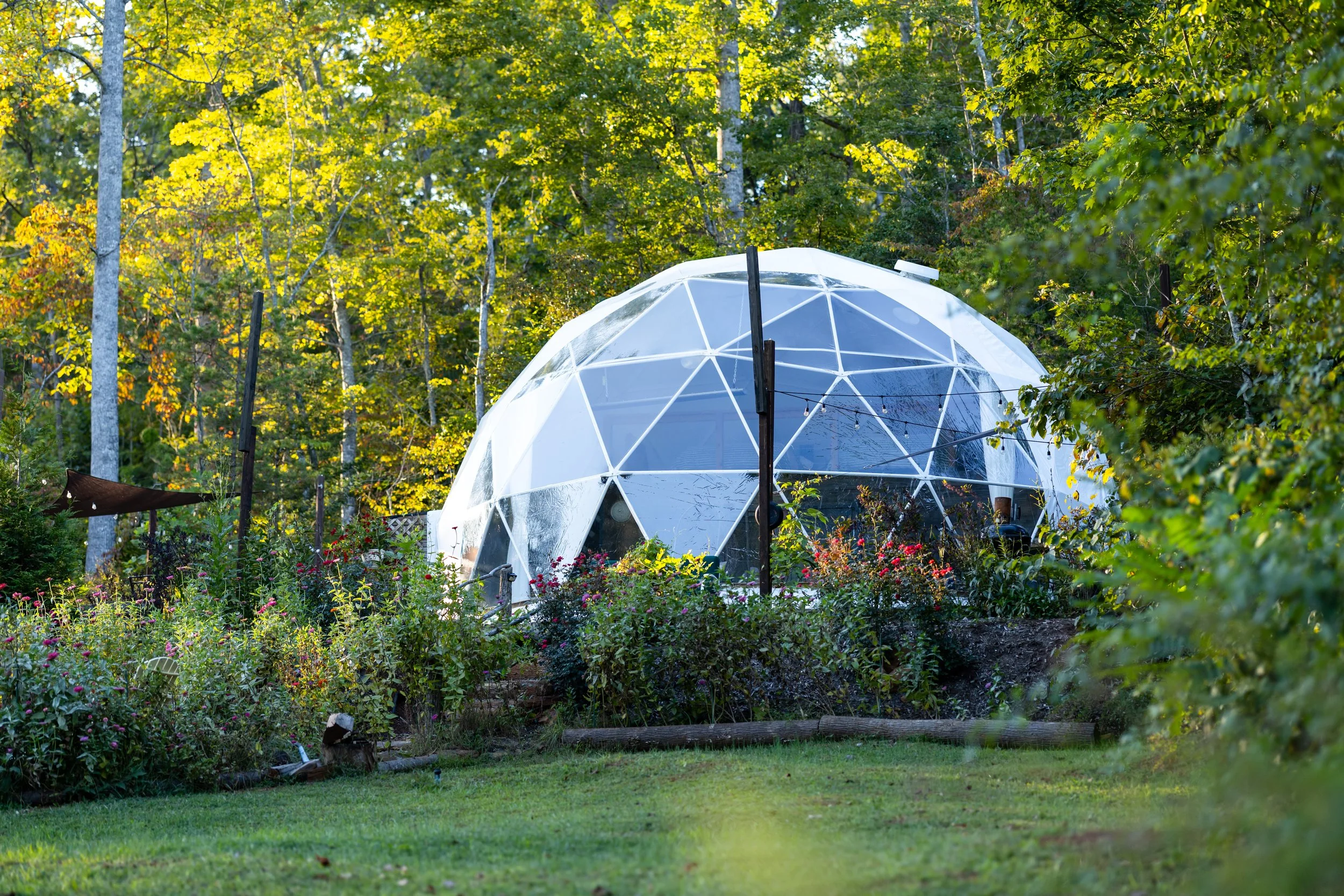 A geodesic dome greenhouse in a lush garden surrounded by trees and flowering bushes.