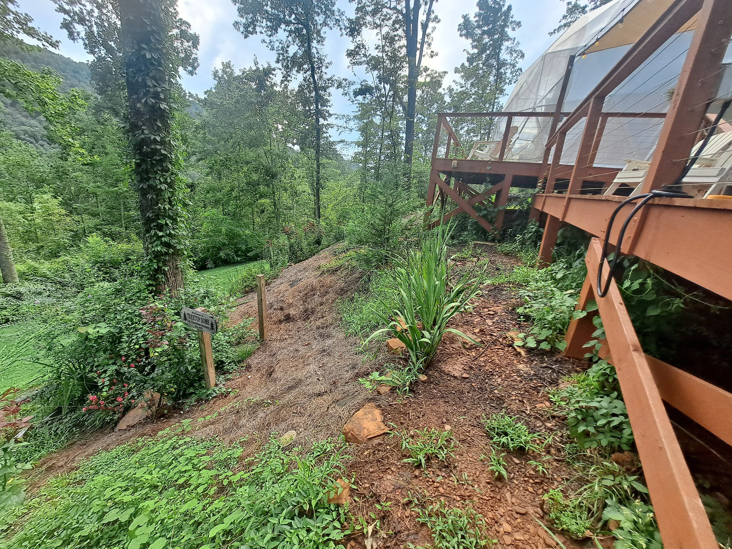 A balcony with a wooden railing overlooking a lush green forest with trees and plants, and a sign that reads "TAXIDERMY DOME" near the edge of the forest.