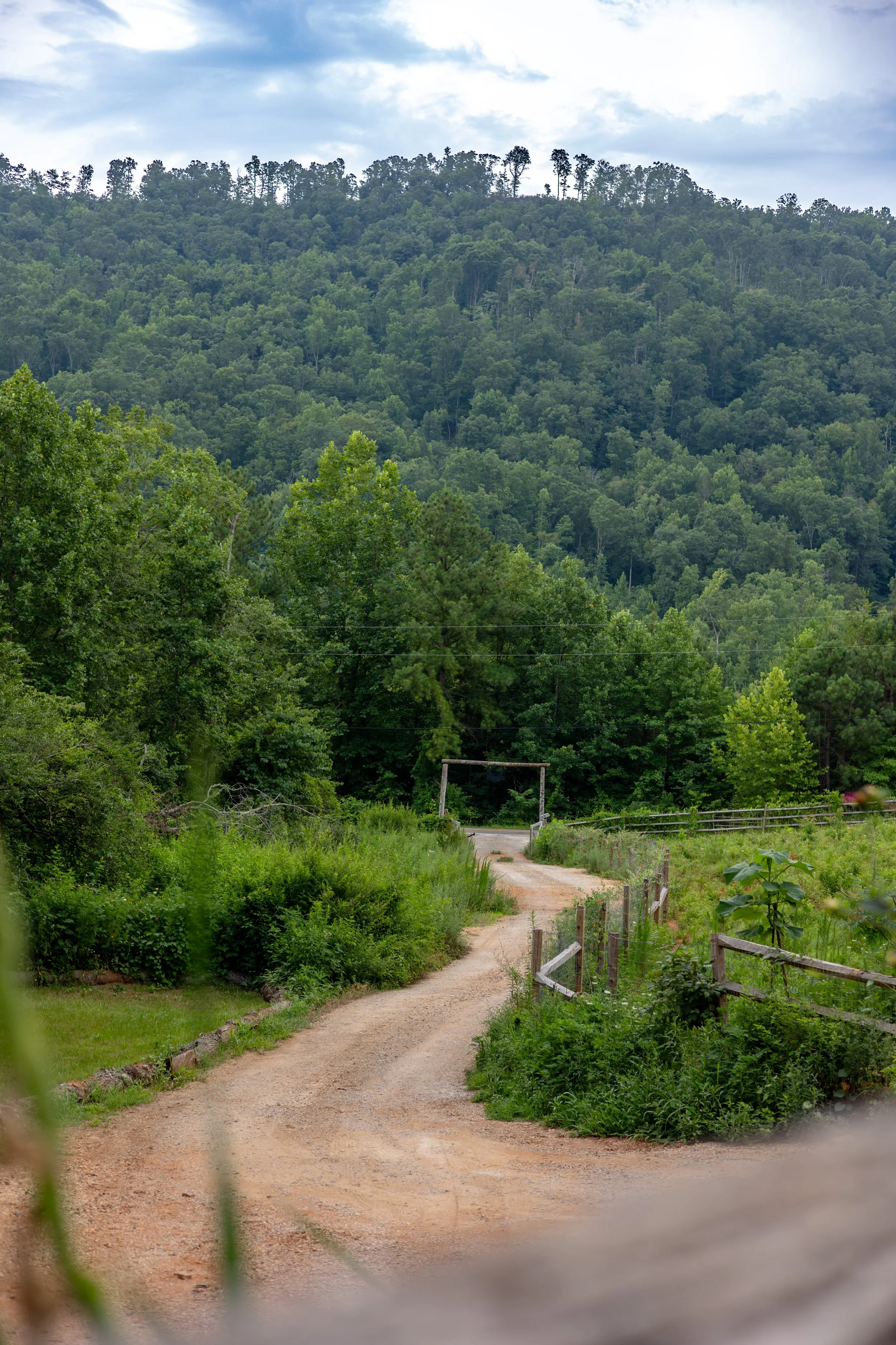 A dirt road winding through a lush green countryside with trees, a wooden fence, and mountains in the background under a cloudy sky.