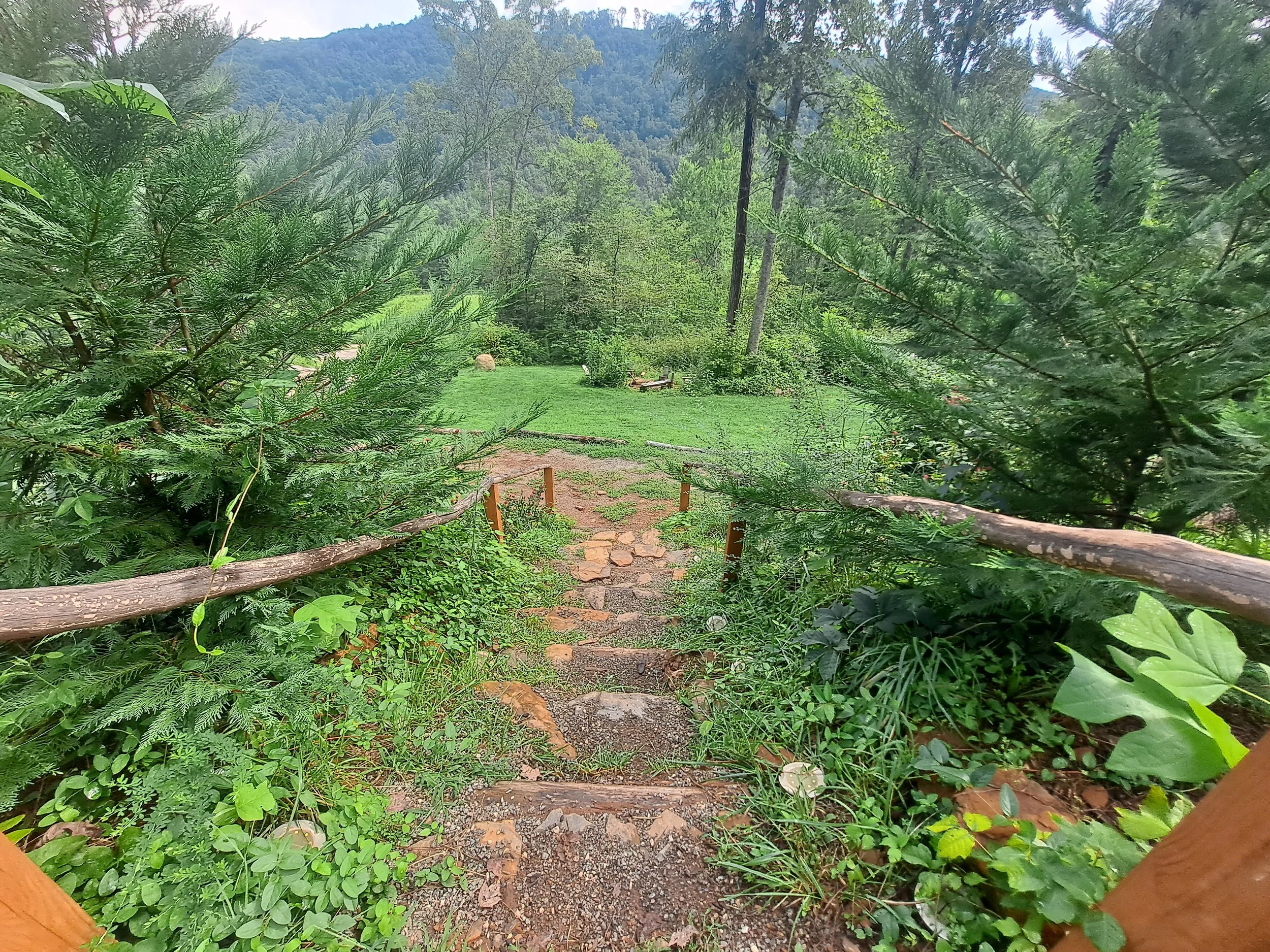 A stone and dirt pathway in a lush green forested area with tall trees, some with trunks leaning, and dense foliage. The pathway is bordered with a simple wooden and rope railing.