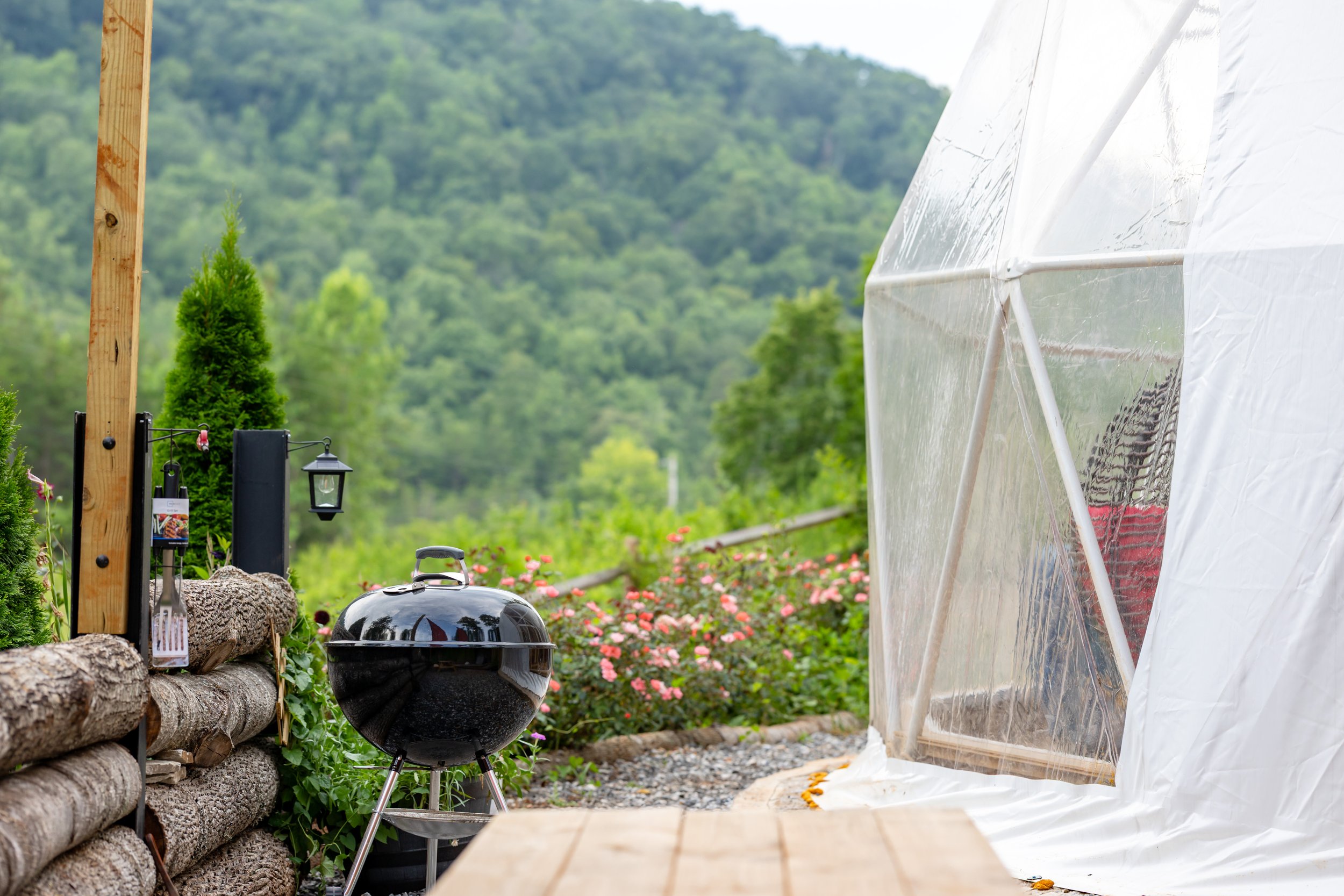 Outdoor garden scene with a black kettle grill, a white translucent greenhouse, pink flowers, green trees, and a mountain background.
