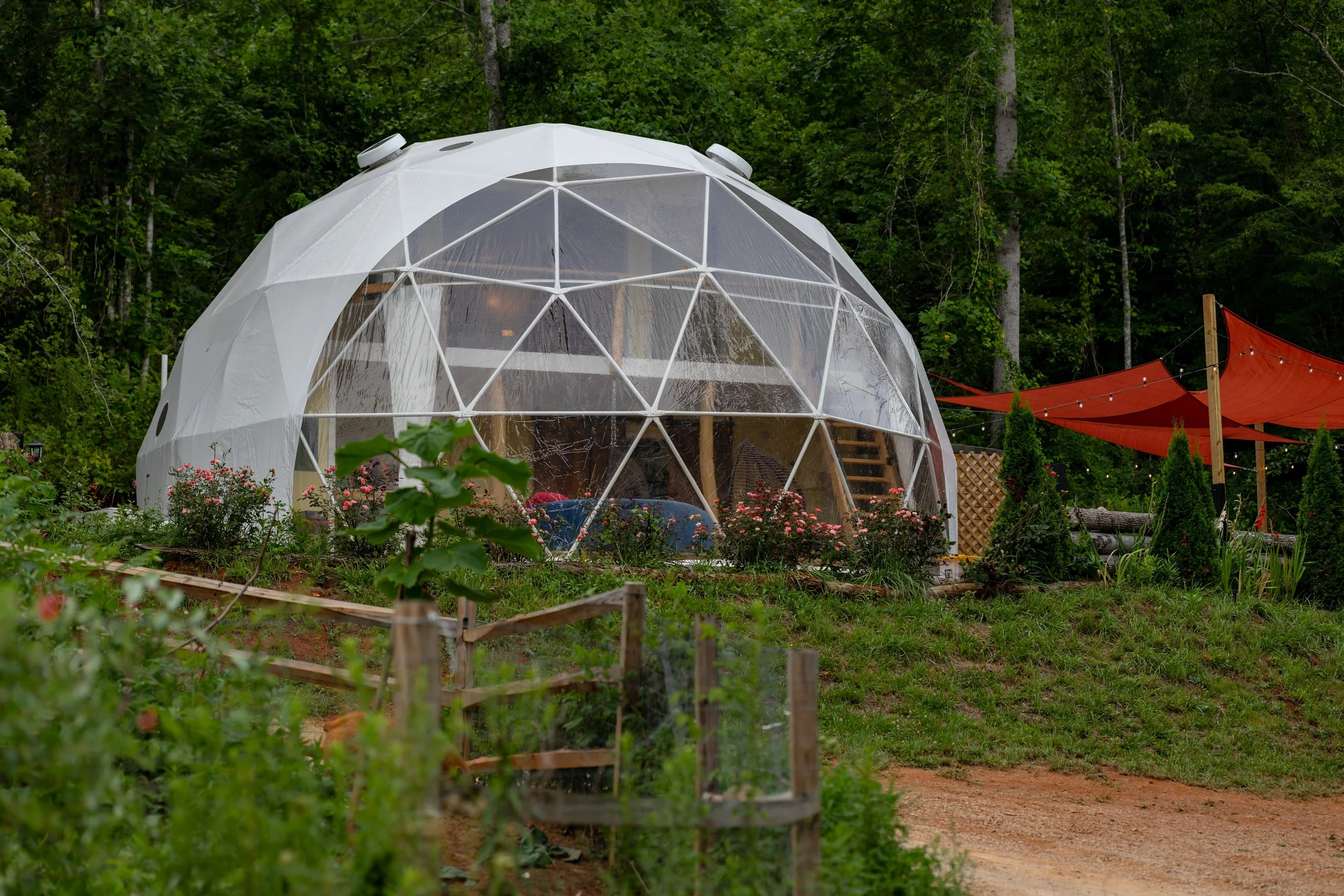 A glass geodesic dome tent in a forested outdoor setting, surrounded by plants and flowers, with orange sun shades hanging nearby.