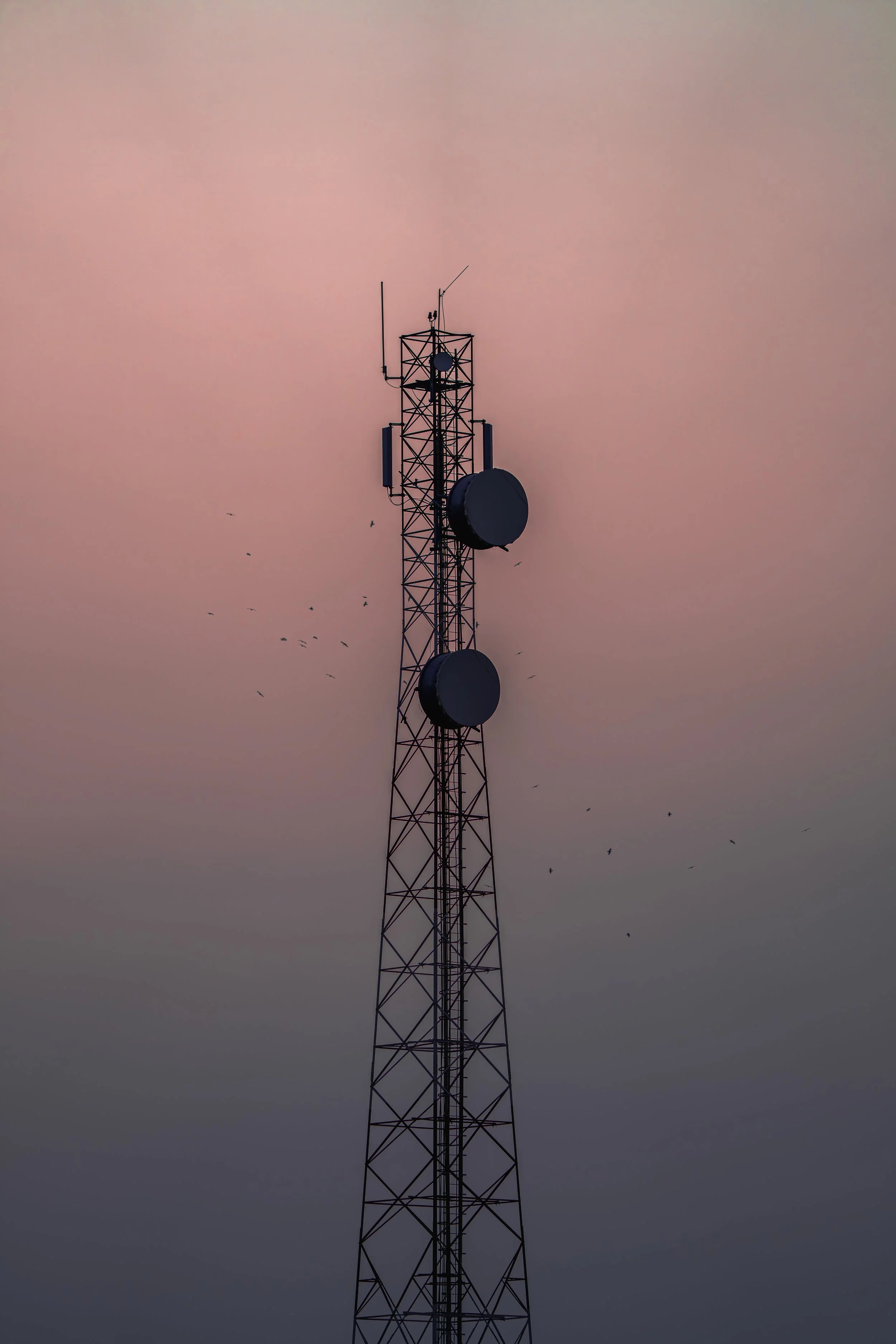 Signal Waiting for an Answer