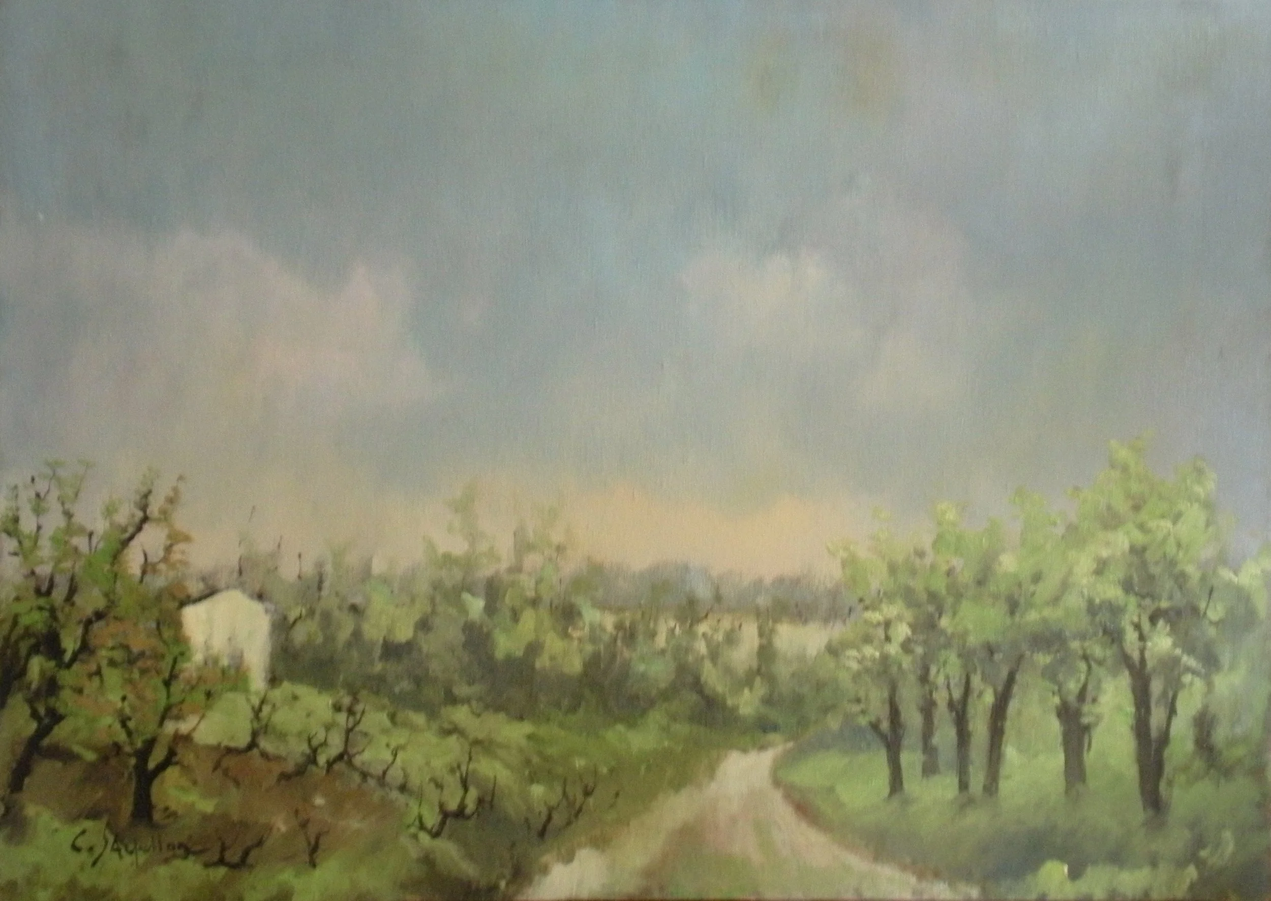 Quadri da sistemare - 6 di 33.jpeg