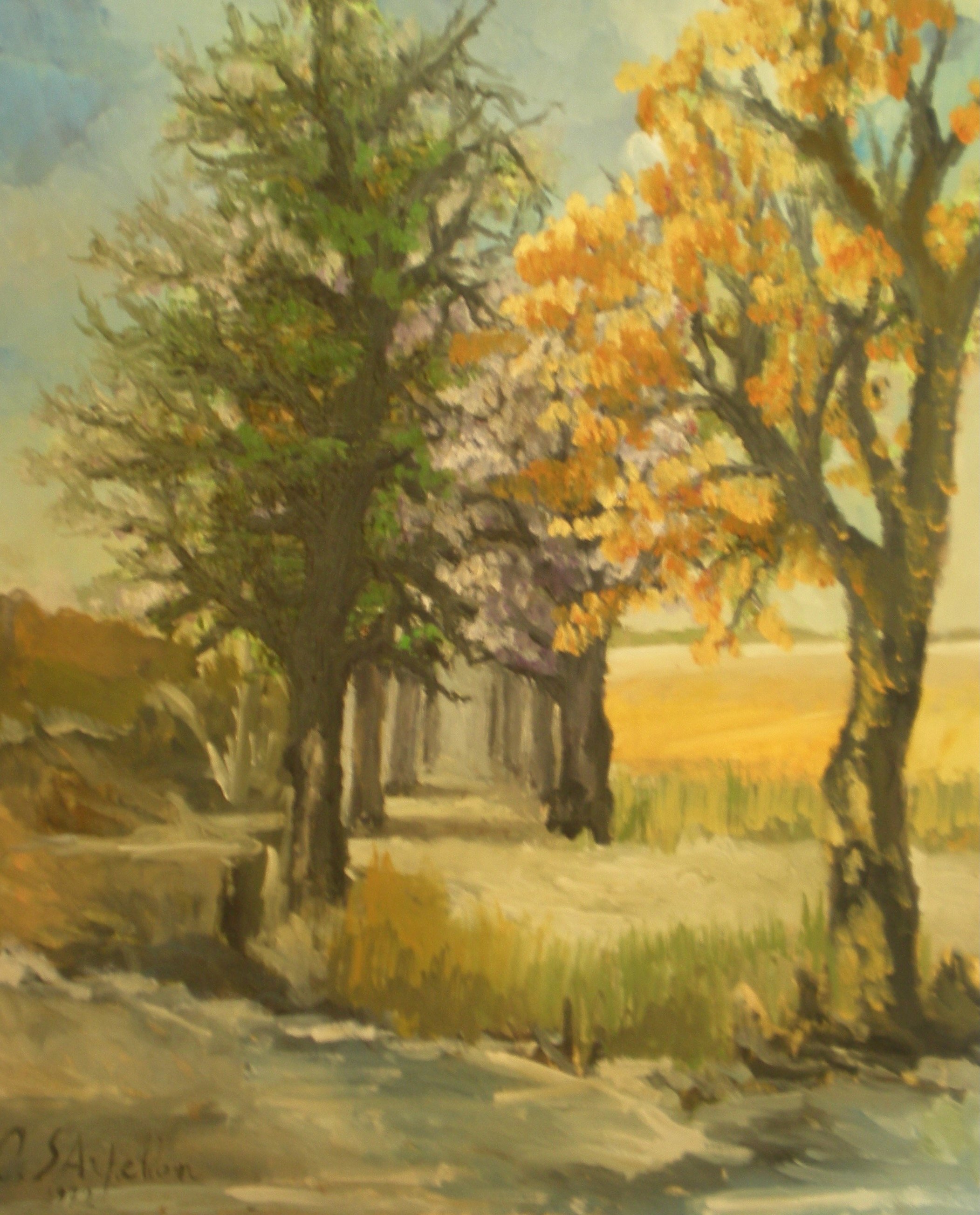 Quadri da sistemare - 1 di 1.jpeg