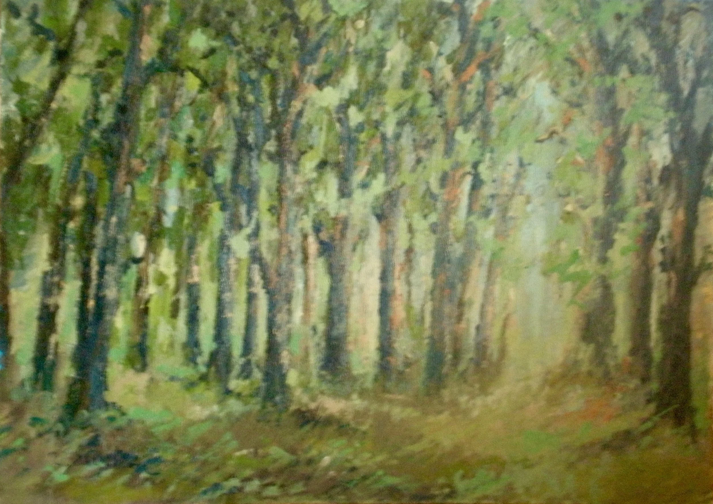 Quadri da sistemare - 8 di 33.jpeg