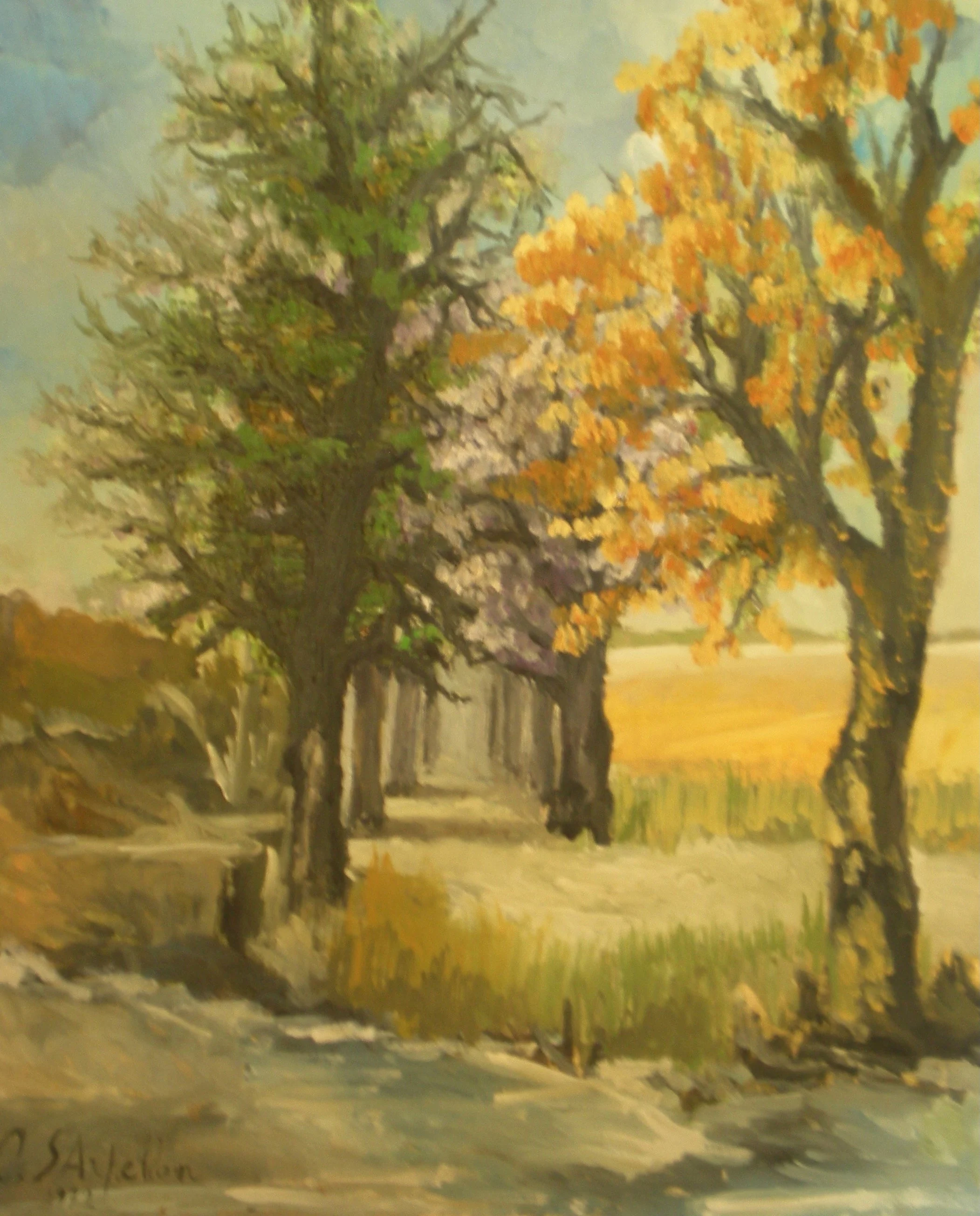 Quadri da sistemare - 26 di 33.jpeg