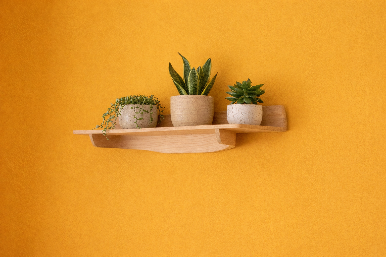 CD7460FC-77D7-4244-85CF-AE9200E3E3AE.png (Copy)