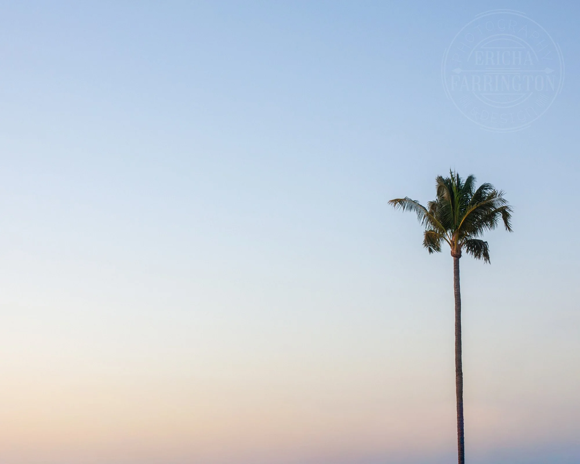 A January Escape to Sarasota