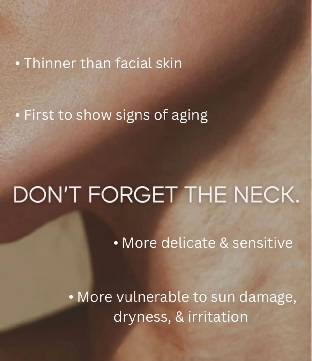 Microneedle Neck