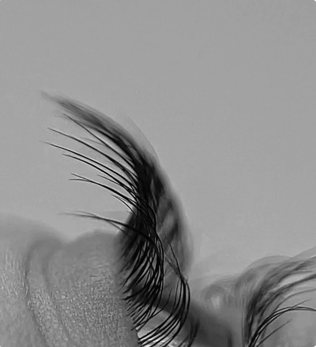 Korean Lash Lift & Tint