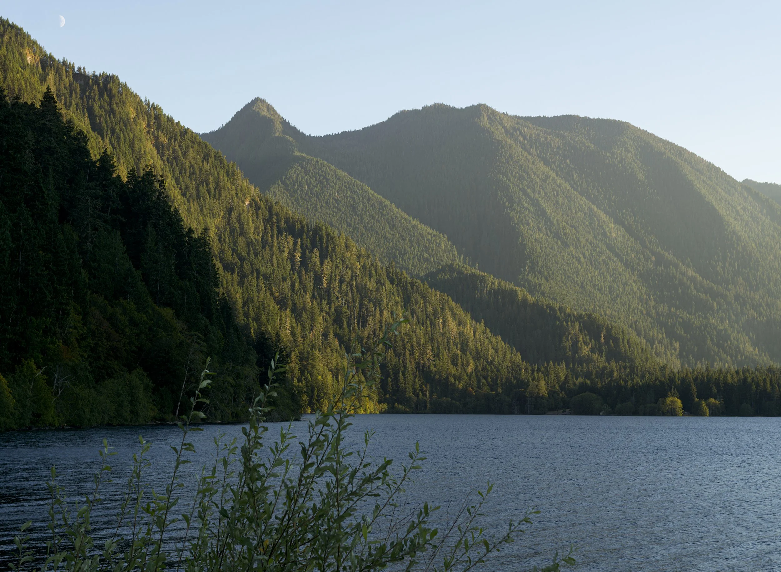 lake-crescent-moon-calm-serenity-olympic-national-park-clallam-county-low-olympics-coast-range-ecoregion-olympic-peninsula-494-color-and-photo-labs-llc.jpg