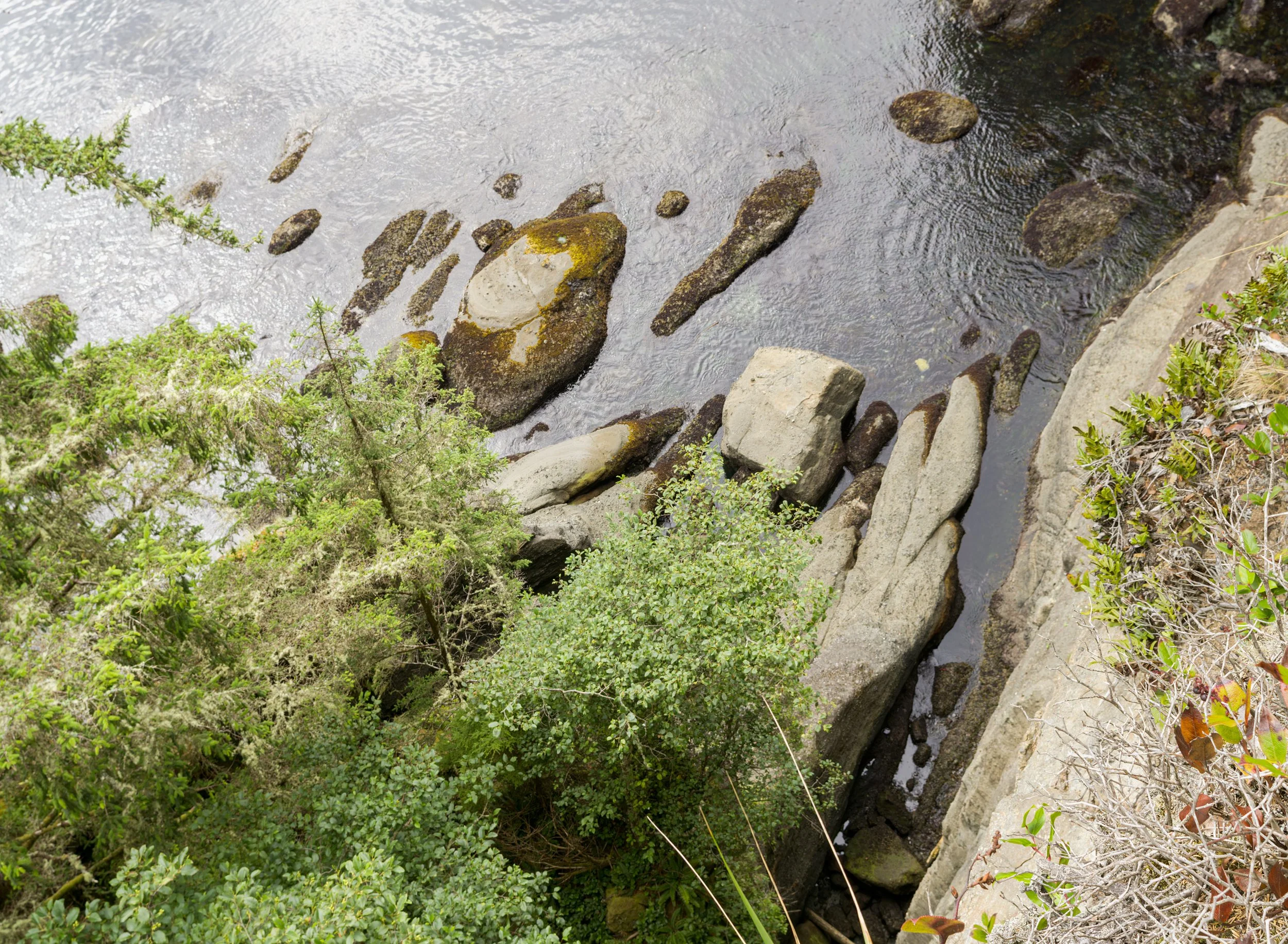 cape-flattery-rugged-cliffs-sea-strait-juan-de-fuca-makah-reservation-clallam-county-coastal-uplands-coast-range-ecoregion-olympic-peninsula-494-color-and-photo-labs-llc-5.jpg