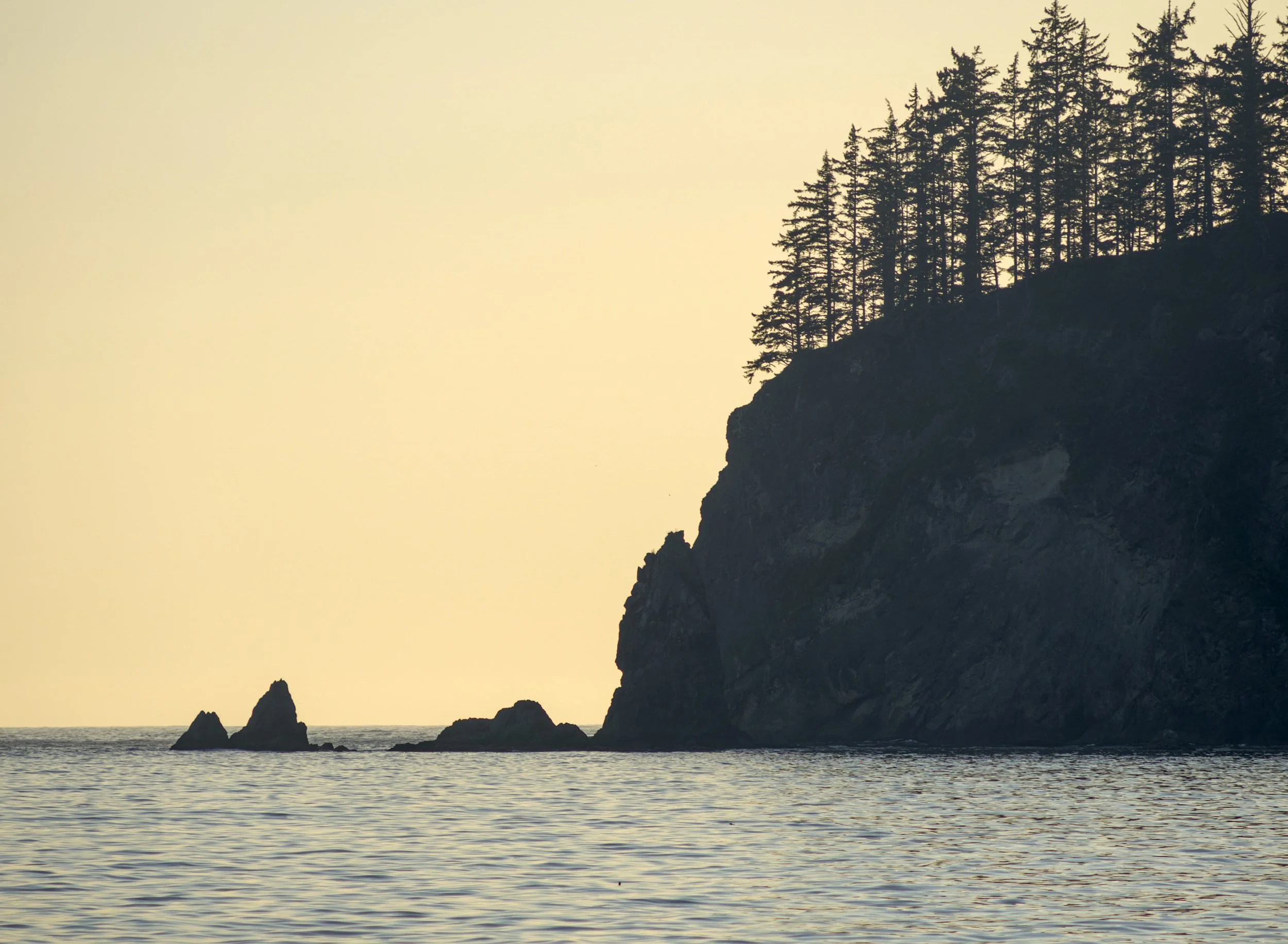 teahwhit-head-rocky-headland-ocean-third-beach-la-push-quileute-land-olympic-national-park-jefferson-county-coastal-uplands-coast-range-ecoregion-olympic-peninsula-494-color-and-p.jpg