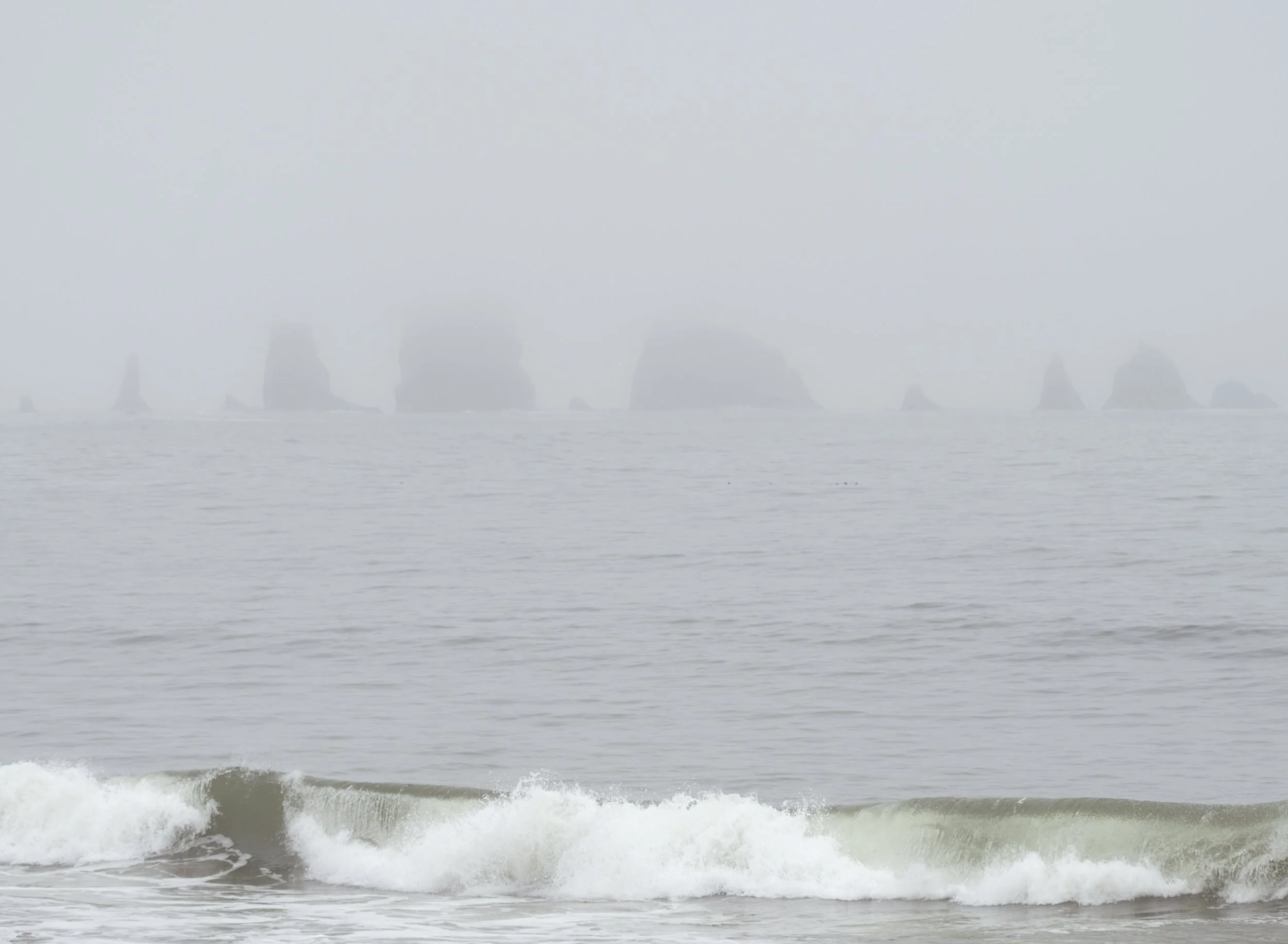 first-beach-sea-stacks-heavy-afternoon-fog-pelicans-la-push-quileute-reservation-clallam-county-coastal-uplands-coast-range-ecoregion-olympic-peninsula-494-color-and-photo-labs-llc-2.jpg
