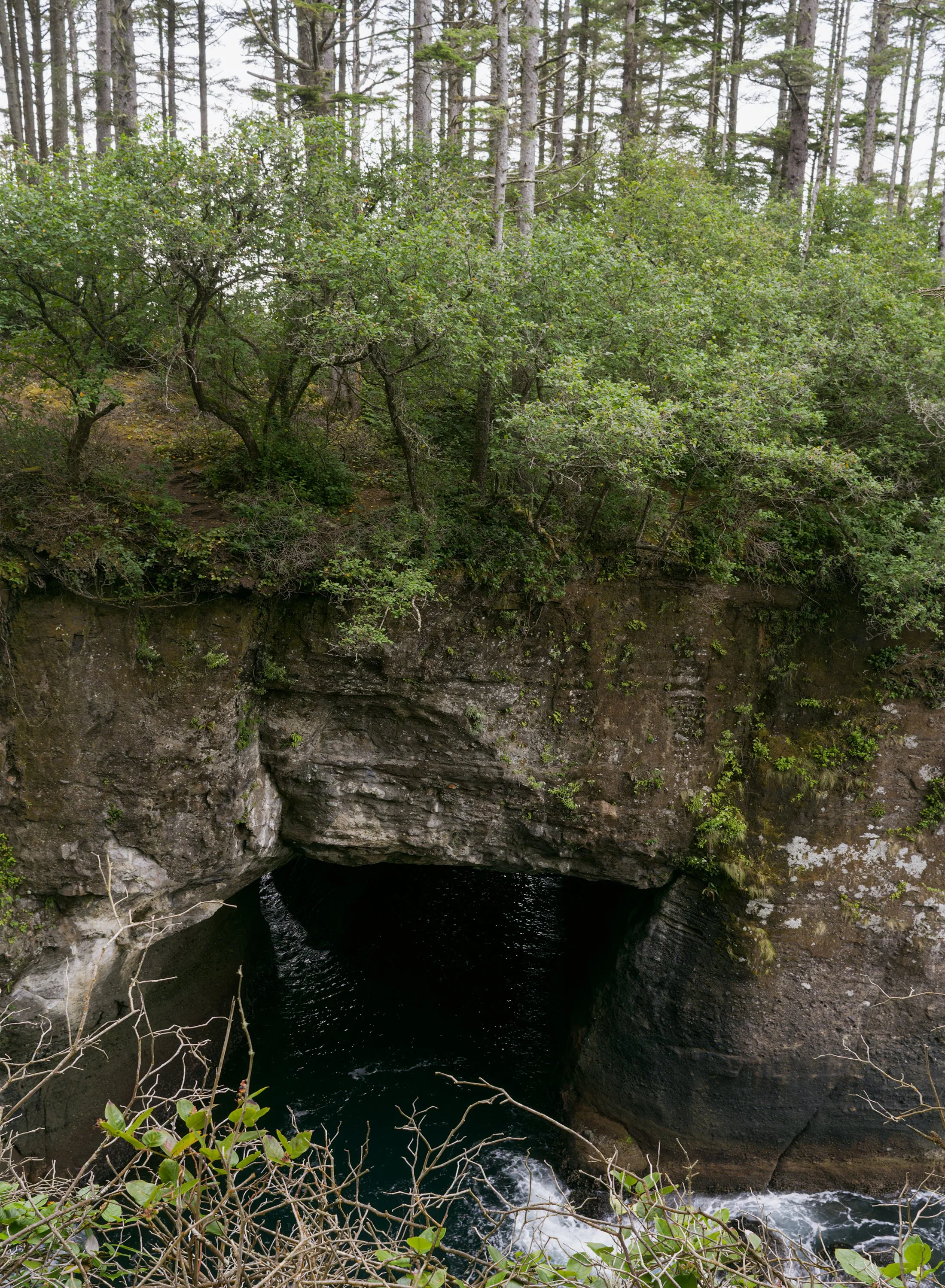 cape-flattery-rugged-cliffs-sea-strait-juan-de-fuca-makah-reservation-clallam-county-coastal-uplands-coast-range-ecoregion-olympic-peninsula-494-color-and-photo-labs-llc-4.jpg
