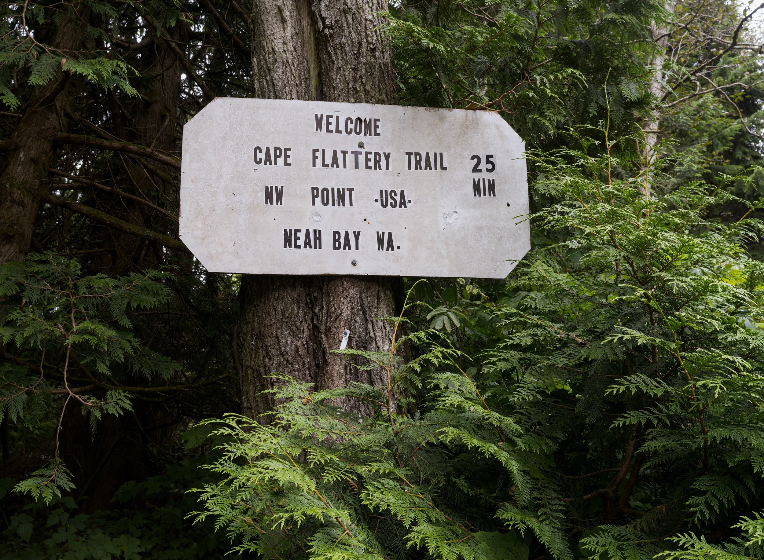 cape-flattery-trailhead-sign-rugged-cliffs-sea-strait-juan-de-fuca-makah-reservation-clallam-county-coastal-uplands-coast-range-ecoregion-olympic-peninsula-494-color-and-photo-labs-llc.jpg