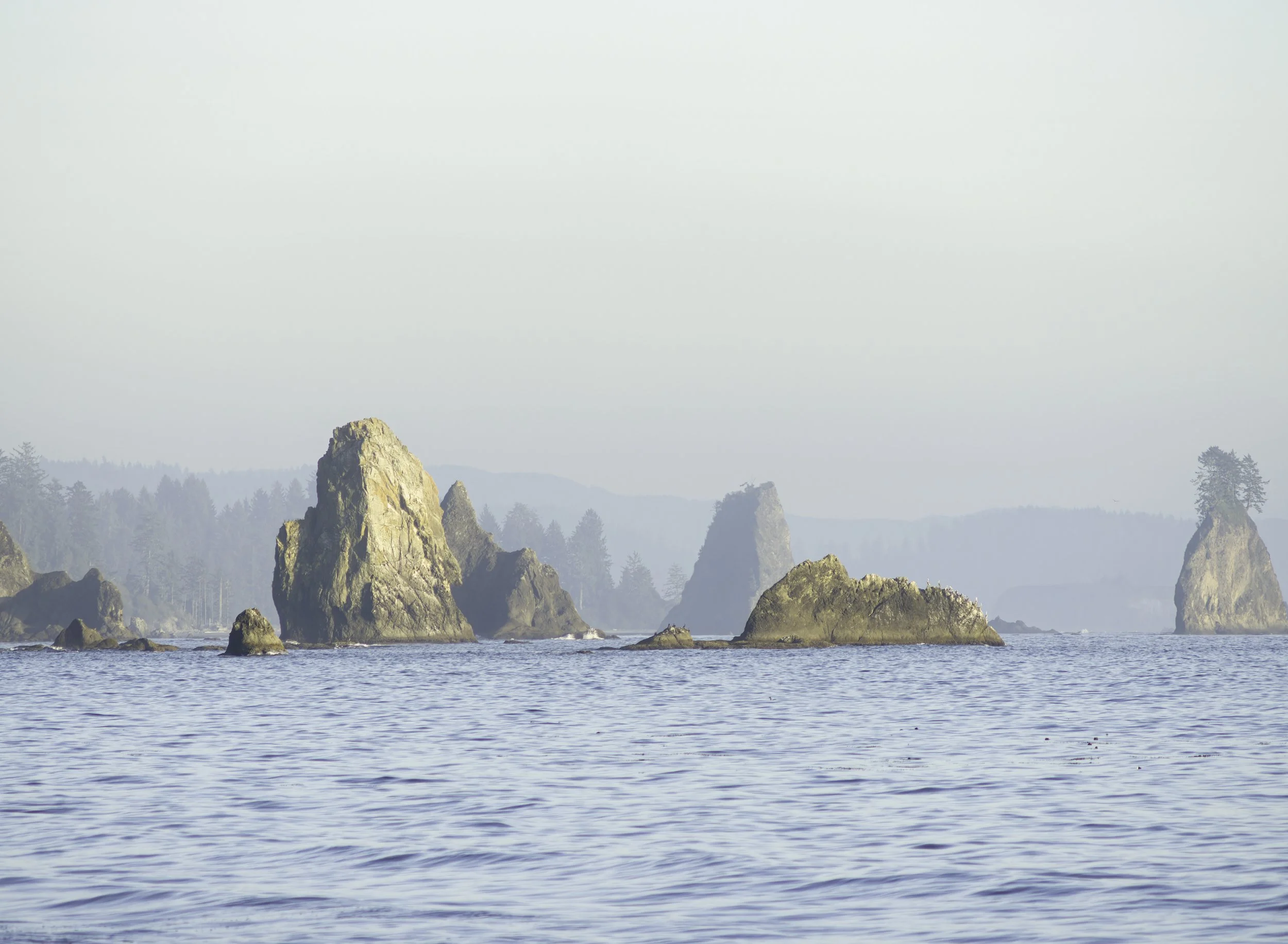 sea-stacks-water-third-beach-la-push-quileute-land-olympic-national-park-jefferson-county-coastal-uplands-coast-range-ecoregion-olympic-peninsula-494-color-and-photo-labs-llc-2.jpg