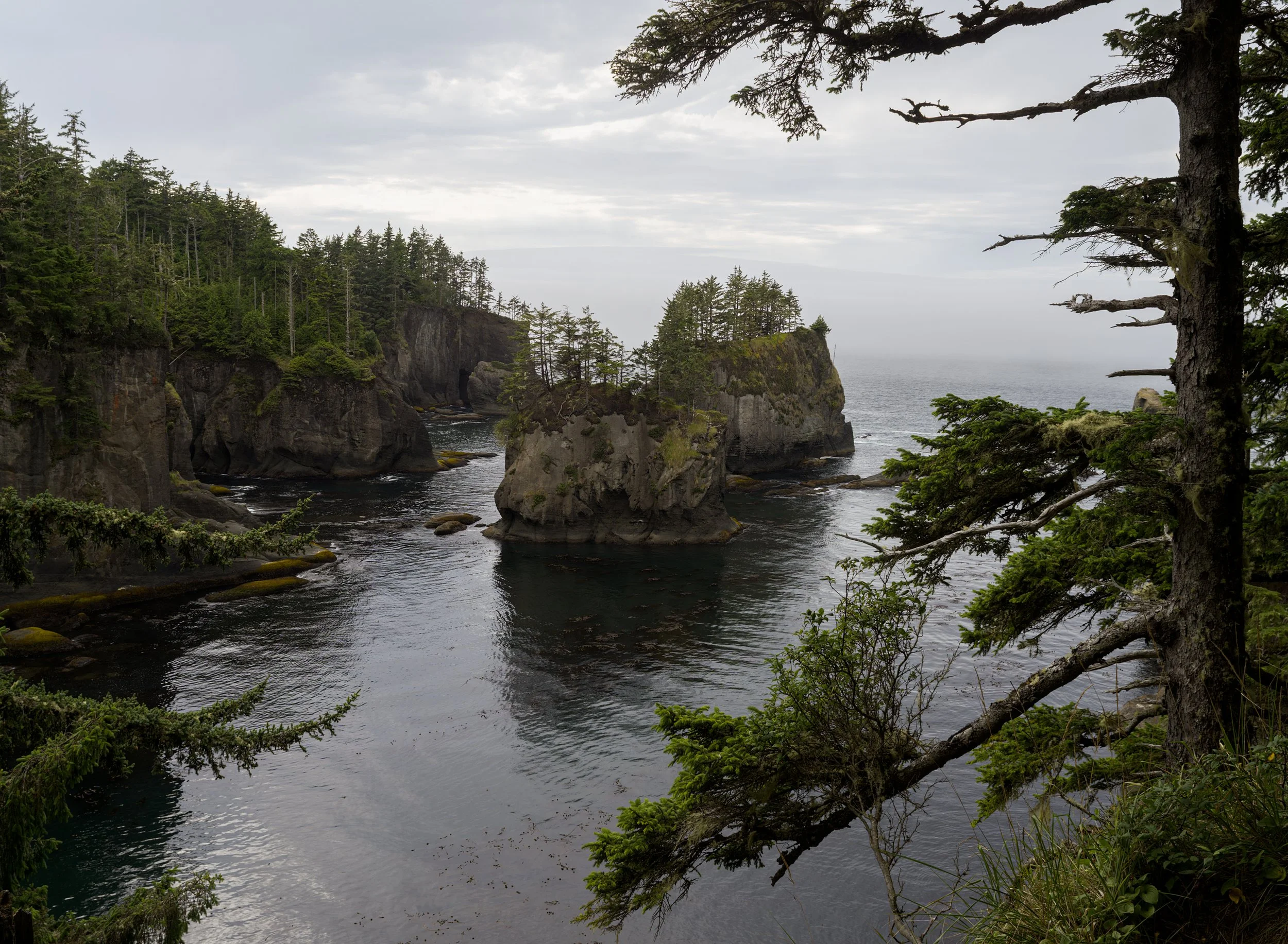 cape-flattery-rugged-cliffs-sea-seastacks-strait-juan-de-fuca-makah-reservation-clallam-county-coastal-uplands-coast-range-ecoregion-olympic-peninsula-494-color-and-photo-labs-llc.jpg