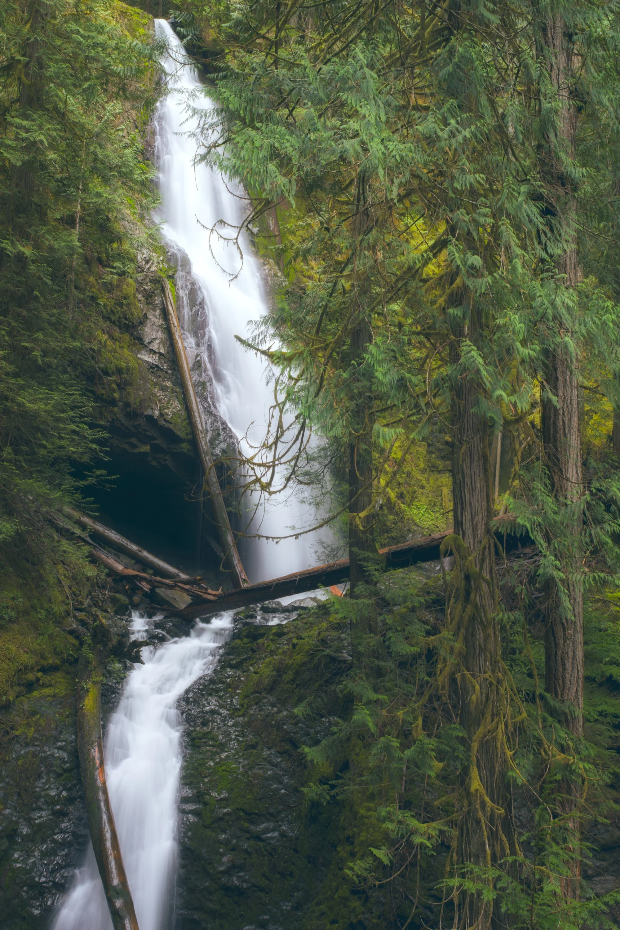 murhut-falls-olympic-peninsula-olympic-national-forest-waterfall-duckabush-trailhead-494-color-and-photo-labs.jpg