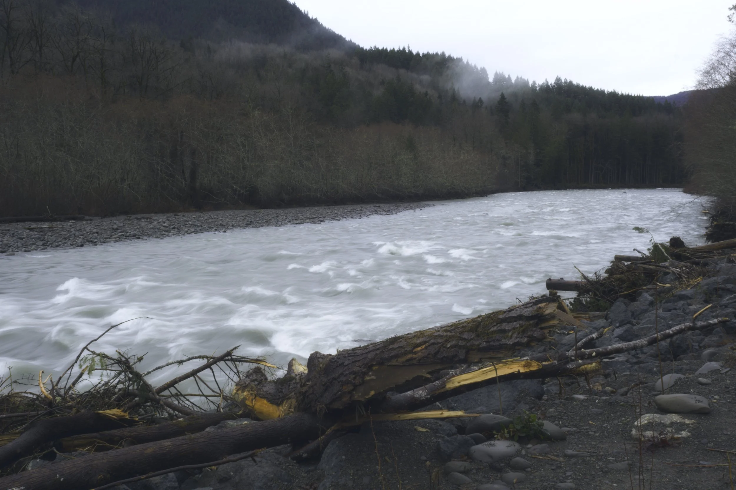 elwha-river-elwha-valley-olympic-national-park-river-gray-day-olympic-peninsula-494-color-and-photo-labs-color-grading-kodak-portra-400-120-medium-format.jpg