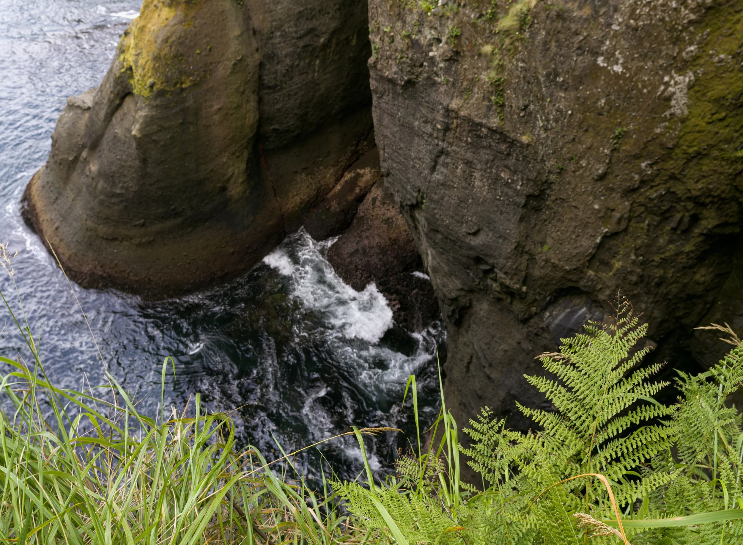 cape-flattery-rugged-cliffs-sea-strait-juan-de-fuca-makah-reservation-clallam-county-coastal-uplands-coast-range-ecoregion-olympic-peninsula-494-color-and-photo-labs-llc-2.jpg
