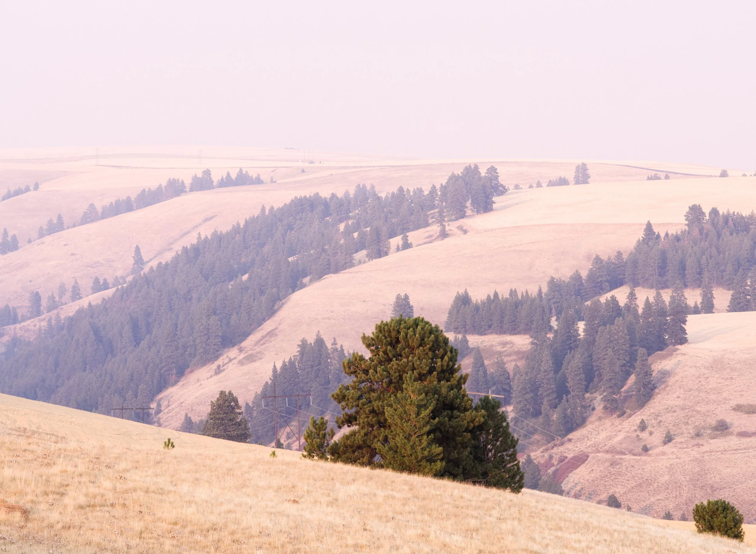 calloway-hill-area-deep-loess-uplands-columbia-plateau-looking-towards-canyons-and-dissected-highlands-blue-mountains-garfield-county-washington-state-494-color-&-photo-labs-llc.jpg