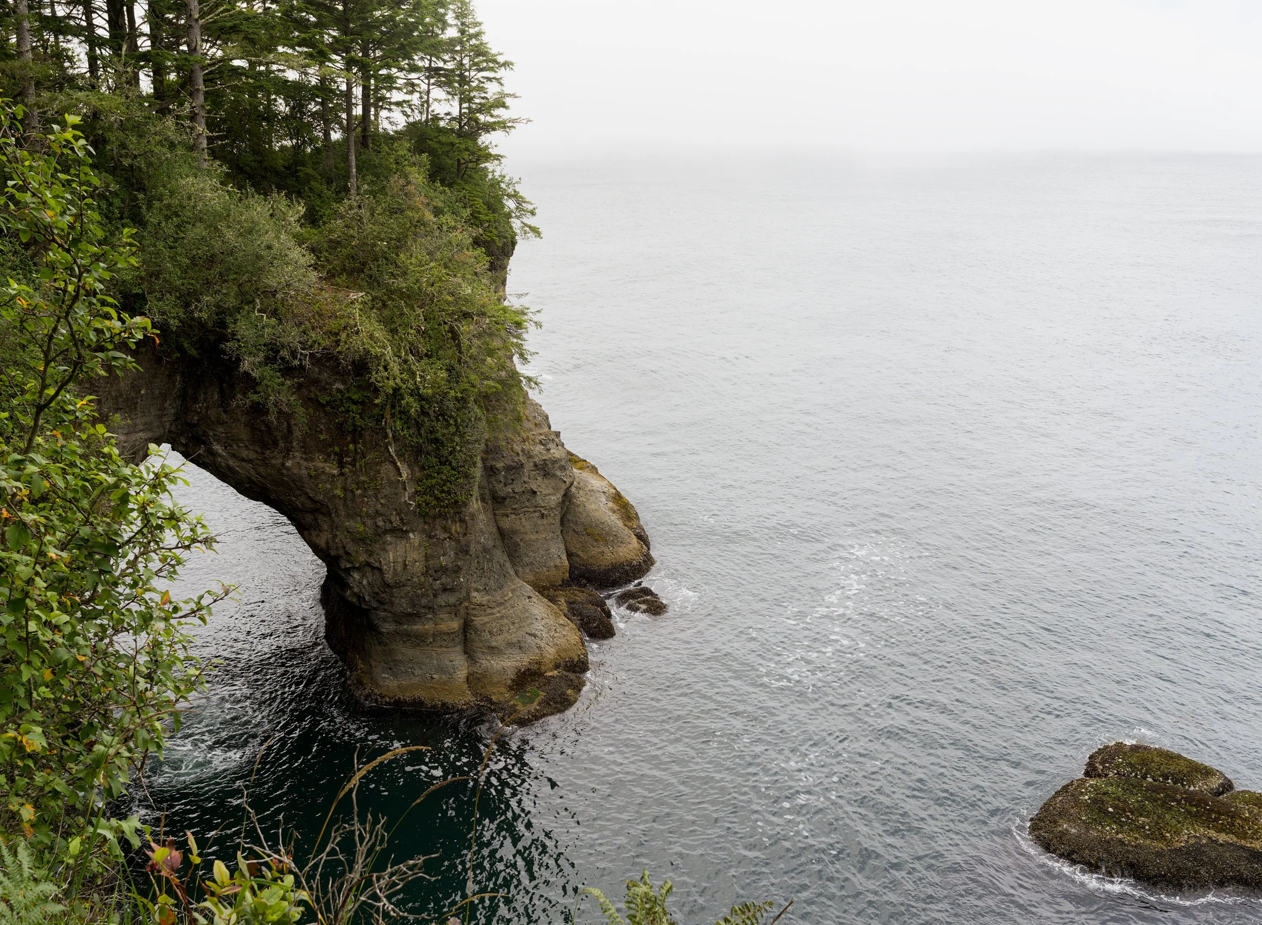cape-flattery-rugged-cliffs-sea-strait-juan-de-fuca-makah-reservation-clallam-county-coastal-uplands-coast-range-ecoregion-olympic-peninsula-494-color-and-photo-labs-llc.jpg