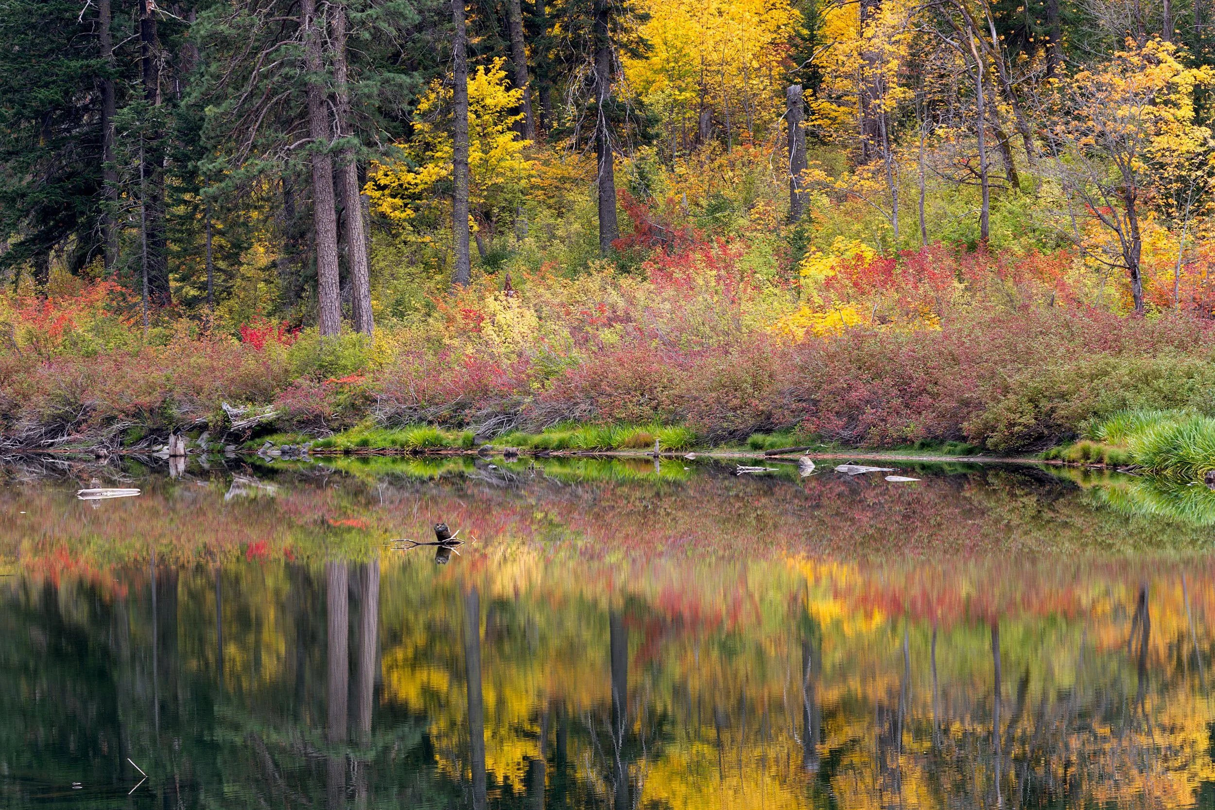 LAKE-J~2.JPG