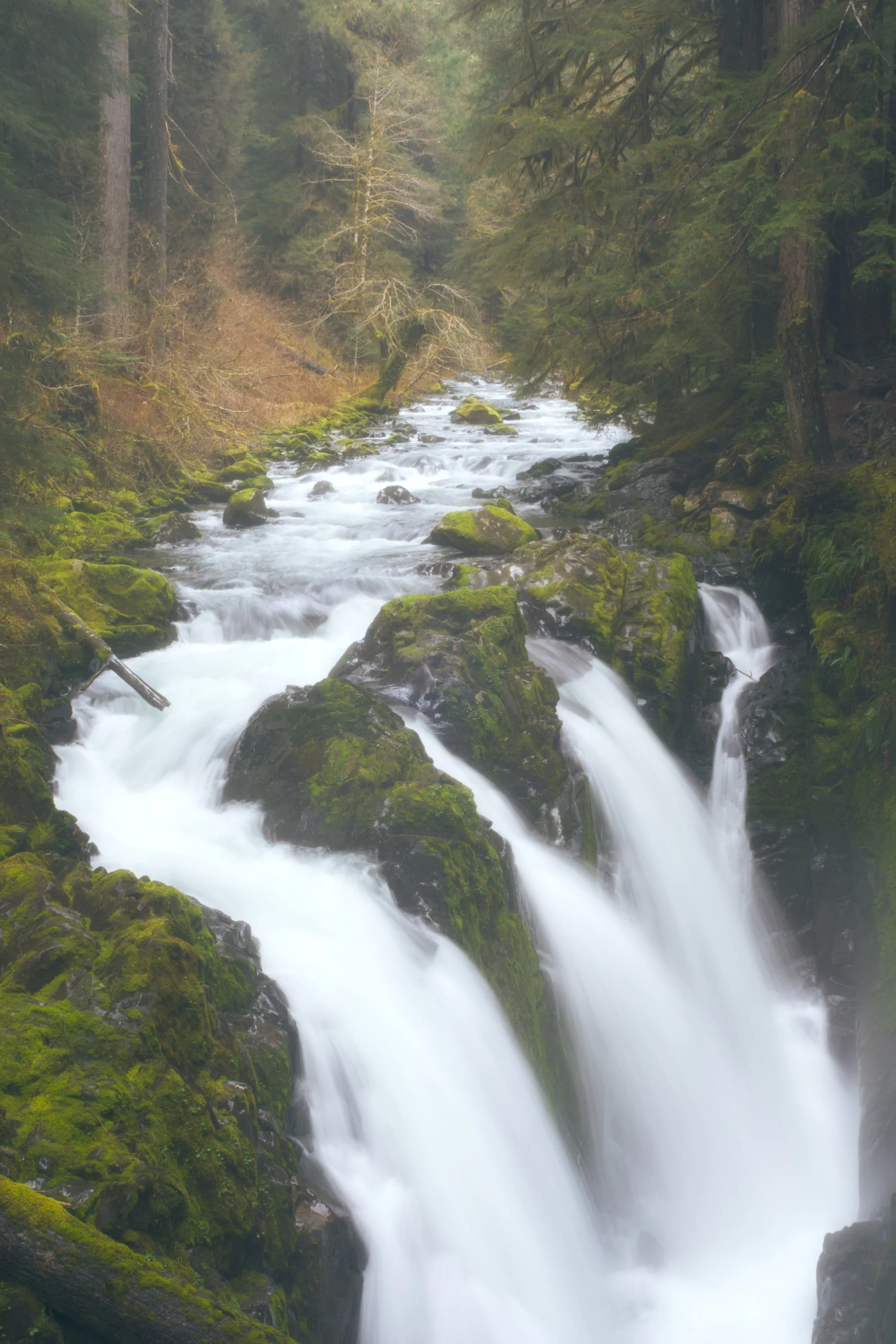 sol-duc-falls-olympic-peninsula-olympic-national-park-waterfall-494-color-and-photo-labs-color-grading-kodak-portra-400-120-medium-format.jpg