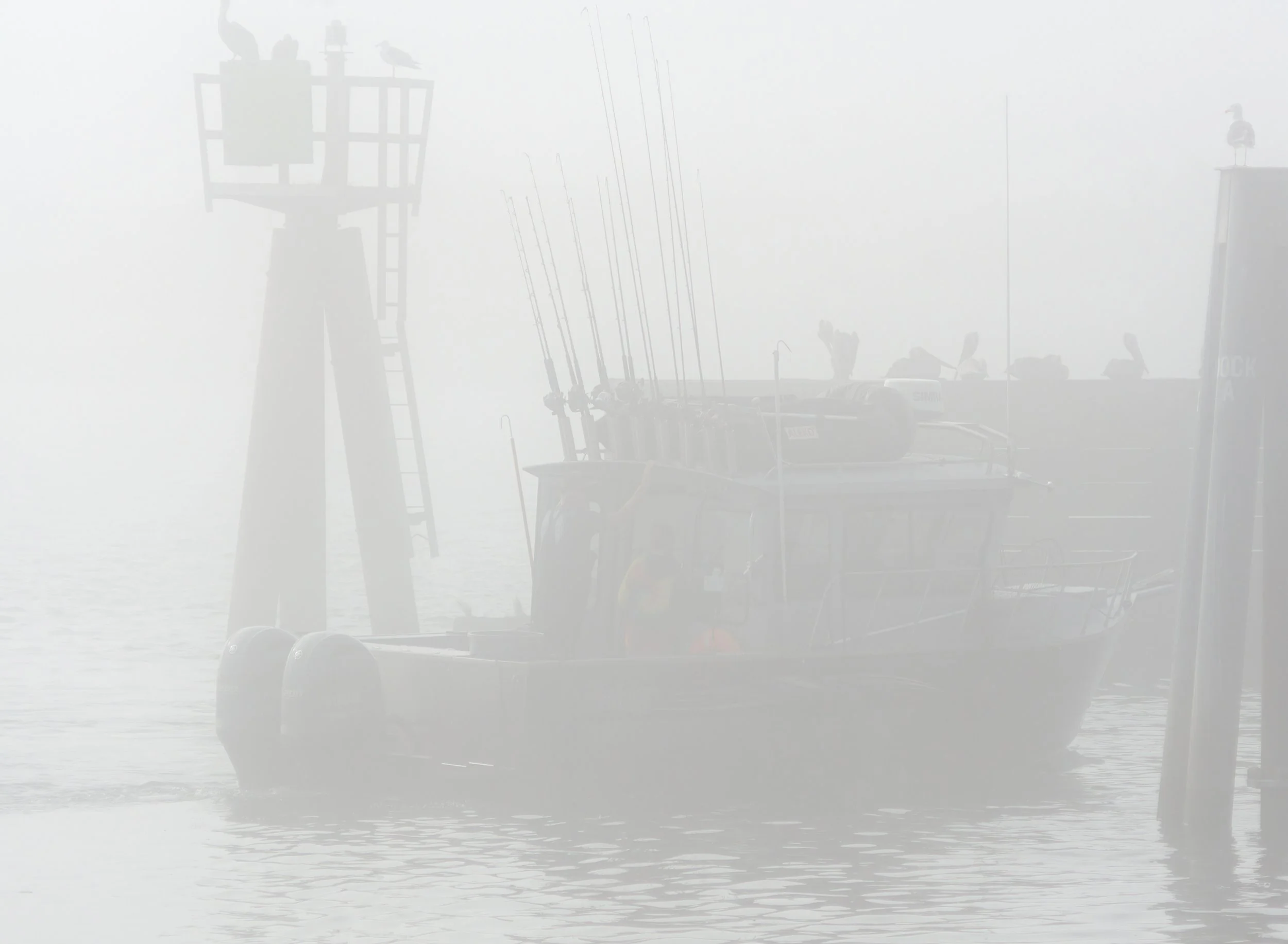 fishing-boat-heavy-afternoon-fog-pelicans-silhouette-marina-la-push-quileute-reservation-clallam-county-coastal-uplands-coast-range-ecoregion-olympic-peninsula-494-color-and-photo-labs-llc.jpg