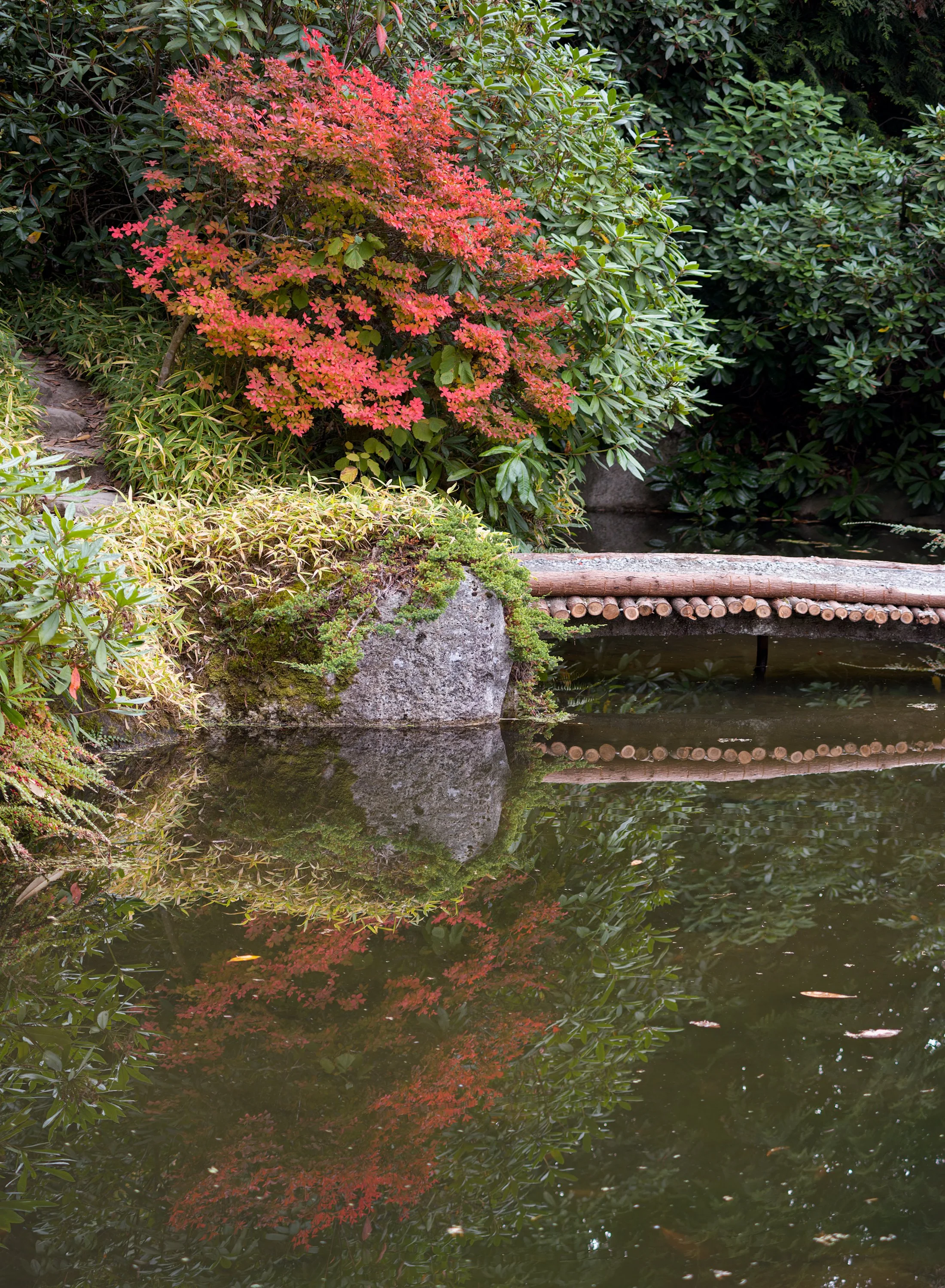 fall-foliage-reflections-pond-little-bridge-kubota-garden-south-seattle-central-puget-puget-sound-lowlands-king-county-494-color-and-photo-labs-llc.jpg