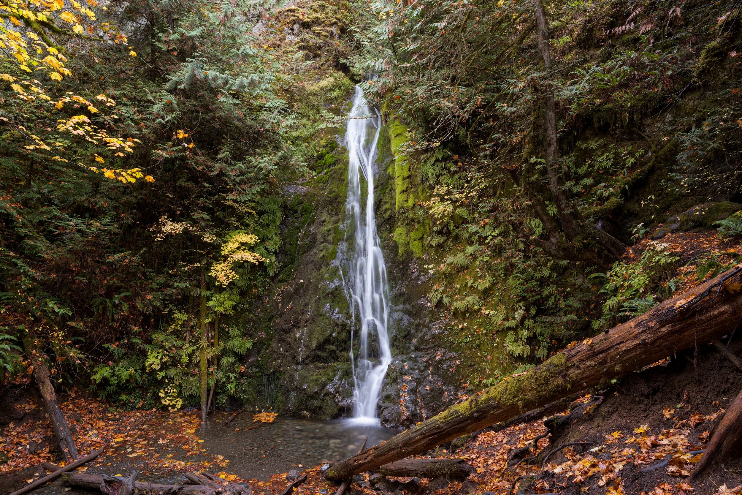 madison-falls-fall-foliage-fall-colors-wet-waterfalls-olympic-national-park-clallam-county-low-olympics-coast-range-ecoregion-olympic-peninsula-494-color-and-photo-labs-llc.jpg
