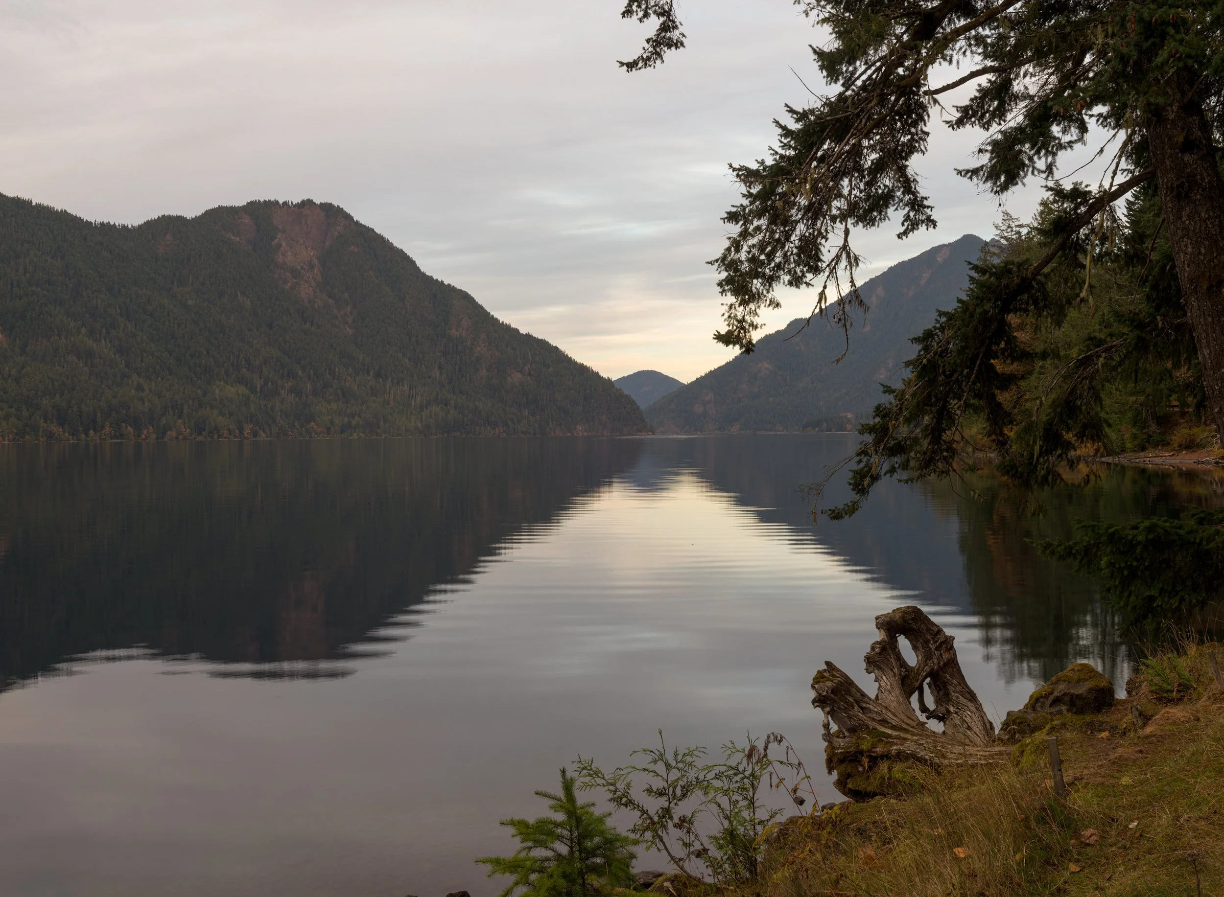 lake-crescent-dusk-calm-serenity-near-lapoel-point-olympic-national-park-clallam-county-low-olympics-coast-range-ecoregion-olympic-peninsula-494-color-and-photo-labs-llc.jpg