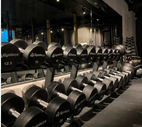 Row of black dumbbells on a rack in a gym.