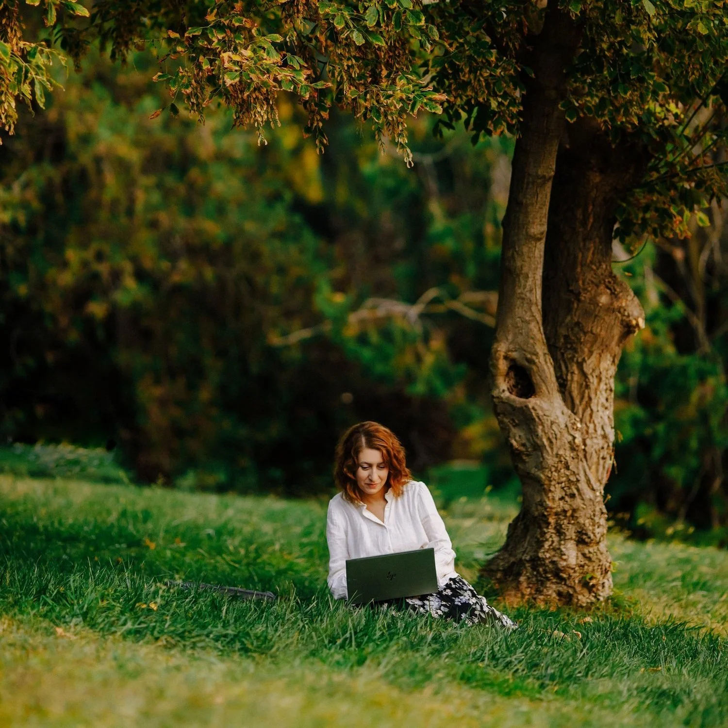 Una mujer sentada en la hierba junto a un árbol, con un portatil  en un entorno natural. Emprendimiento.