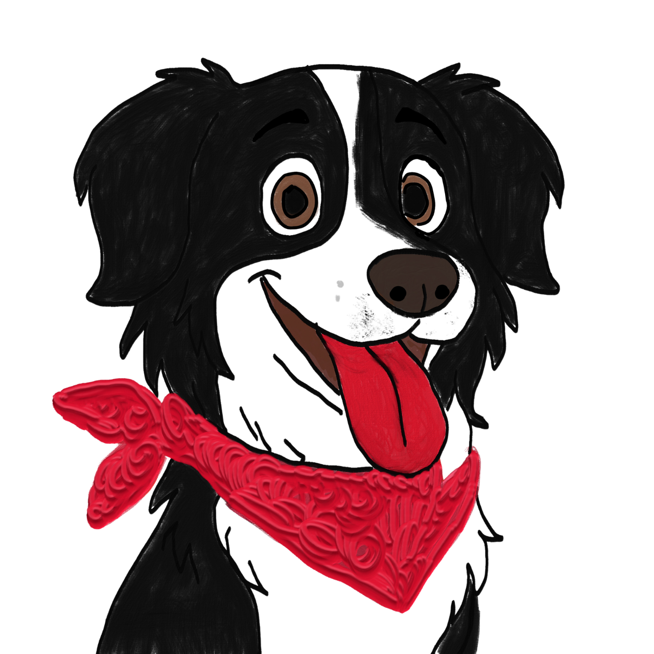 Ónix: cuando un border collie decide pastorear a una gata