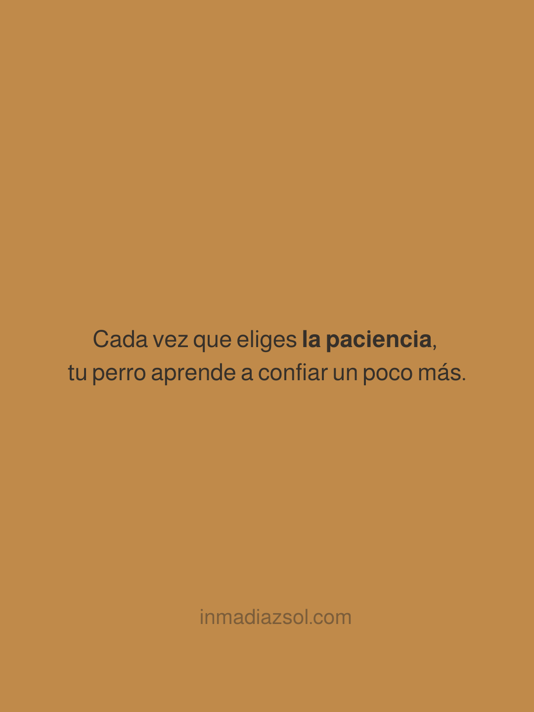 Cita motivacional en fondo marrón que dice: "Cada vez que eliges la paciencia, tu perro aprende a confiar un poco más." Incluye el sitio web inmadiazsol.com.