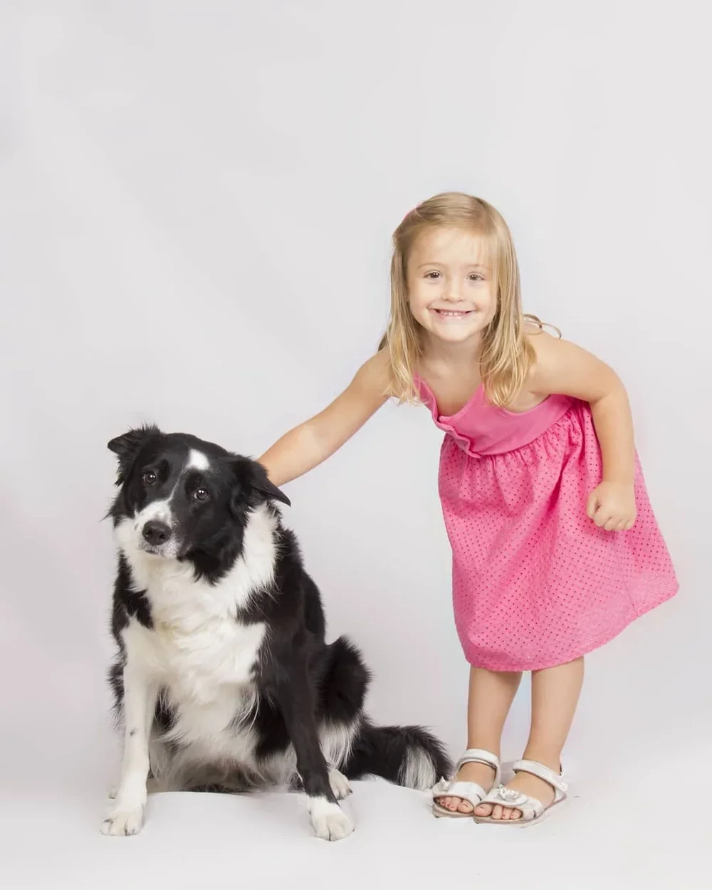 Una niña con vestido rosa y sandalias blancas posando junto a un perro border collie negro y blanco en un fondo blanco.