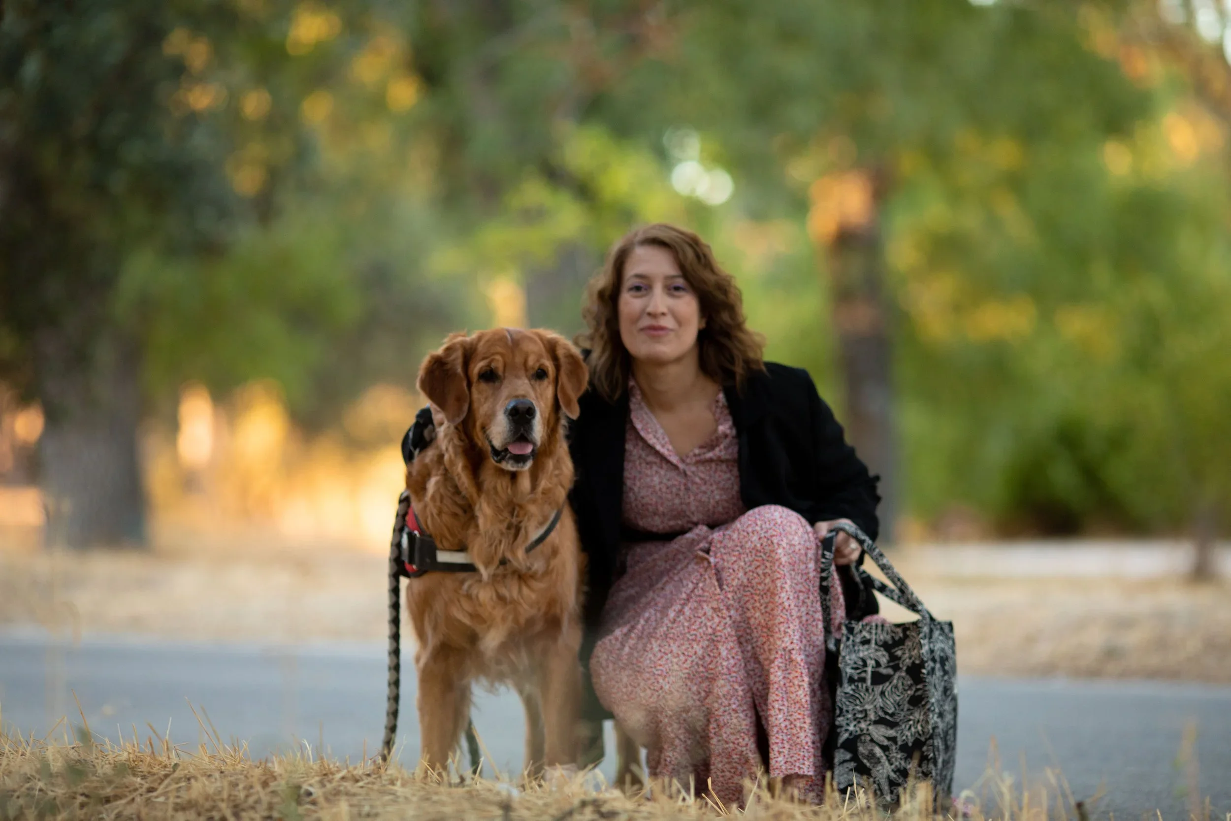 Mujer sentada en un parque con su perro, rodeada de árboles verdes en otoño