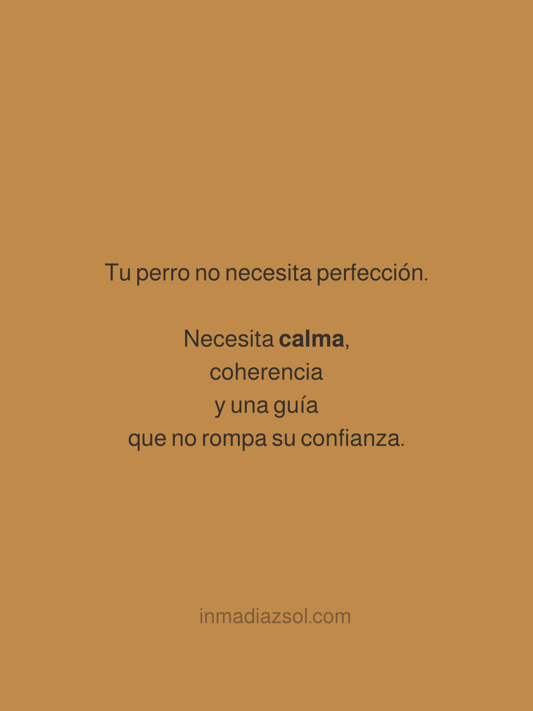 Mensaje en fondo marrón que dice: 'Tu perro no necesita perfección. Necesita calma, coherencia y una guía que no rompa su confianza.'