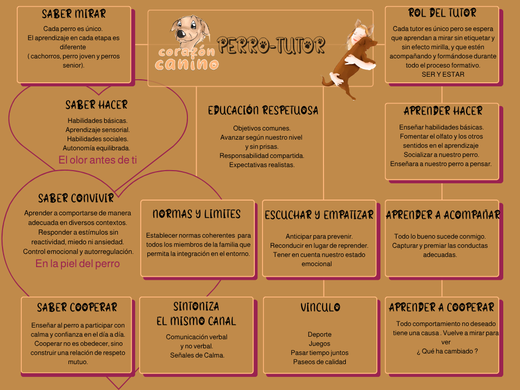 Mapa conceptual sobre perro guía, incluyendo temas como saber mirar, hacer, convivir, normas y límites, normas y límites, escuchar y empatizar, aprender a acompañar, saber cooperar, sintonizar el mismo canal, vínculo y aprender a cooperar, con ilustraciones de un perro, un tutor y un niño, y detalles visuales en colores cálidos y marrones.