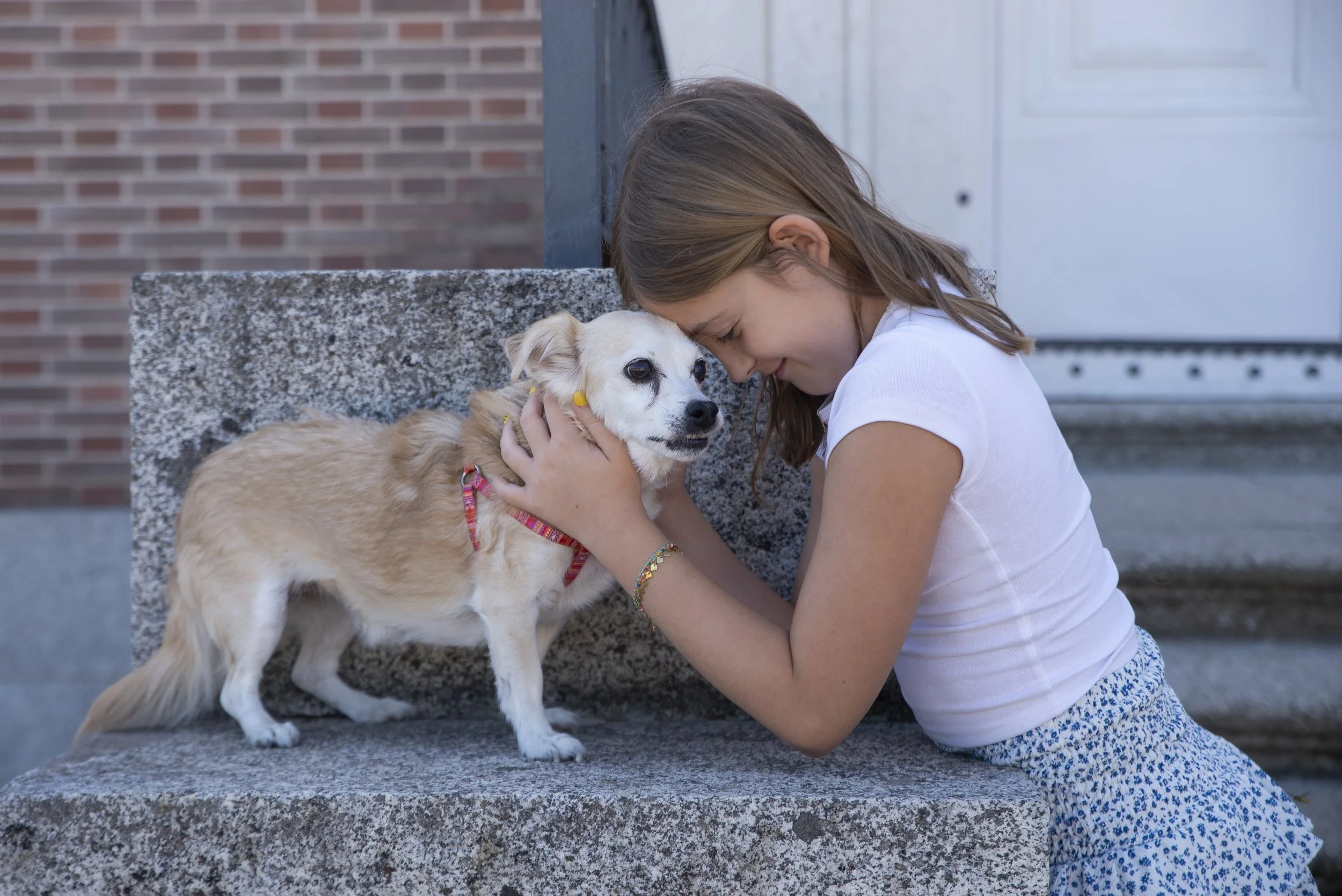 Una niña con camiseta blanca y falda de estampado floral acaricia a un perro en un banco de piedra frente a una pared de ladrillos y una puerta.