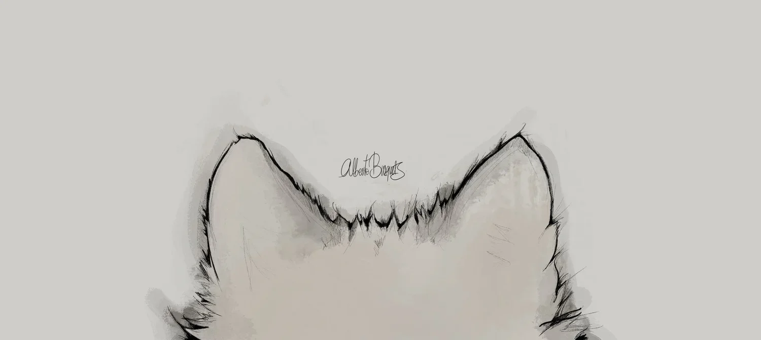 Boceto de una cara de gato en estilo artístico, con orejas puntiagudas y detalles de pelaje