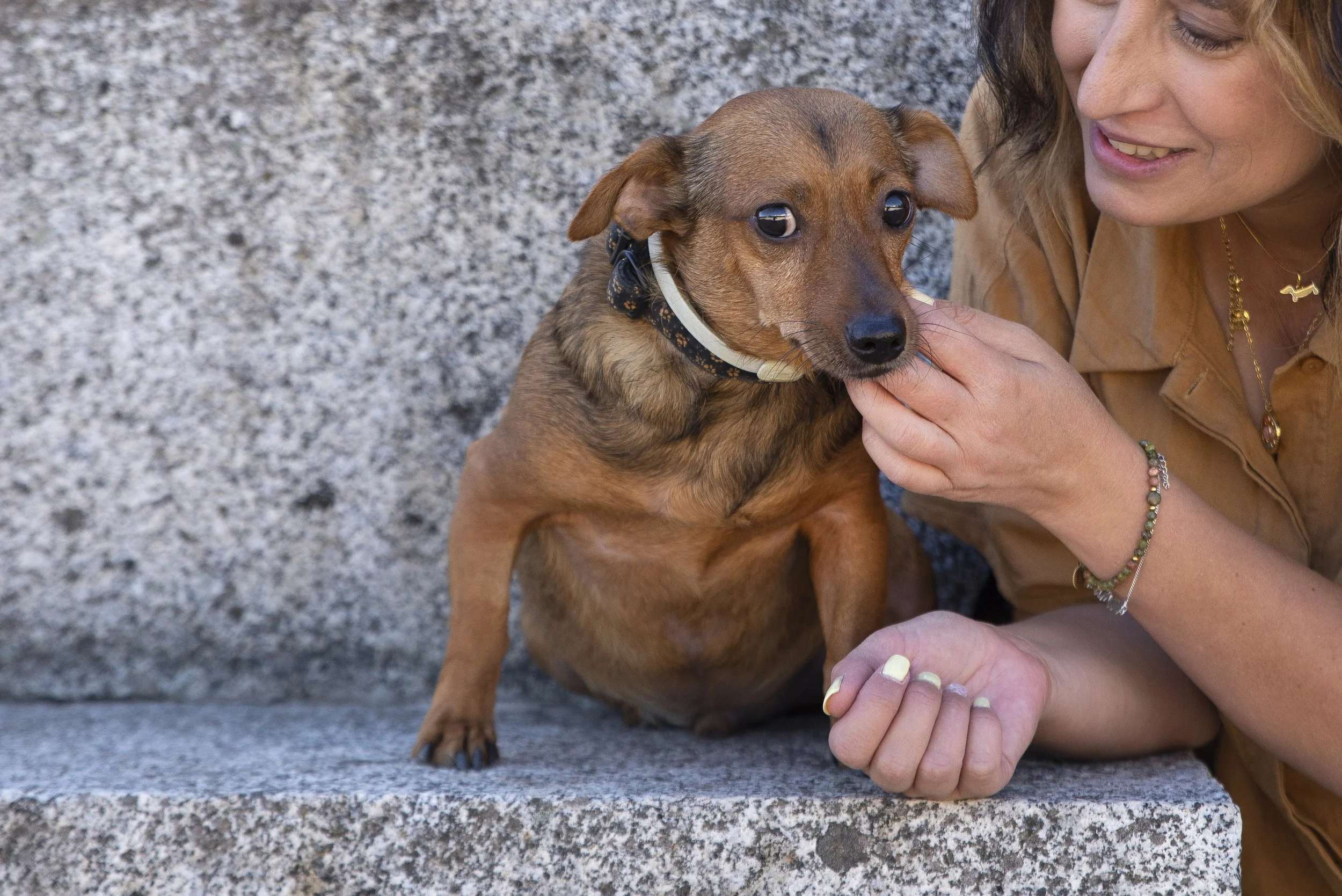 Una mujer acaricia a un perro pequeño de color marrón, que está sentado sobre una superficie de piedra y tiene un collar negro con flores y un collar de color claro.