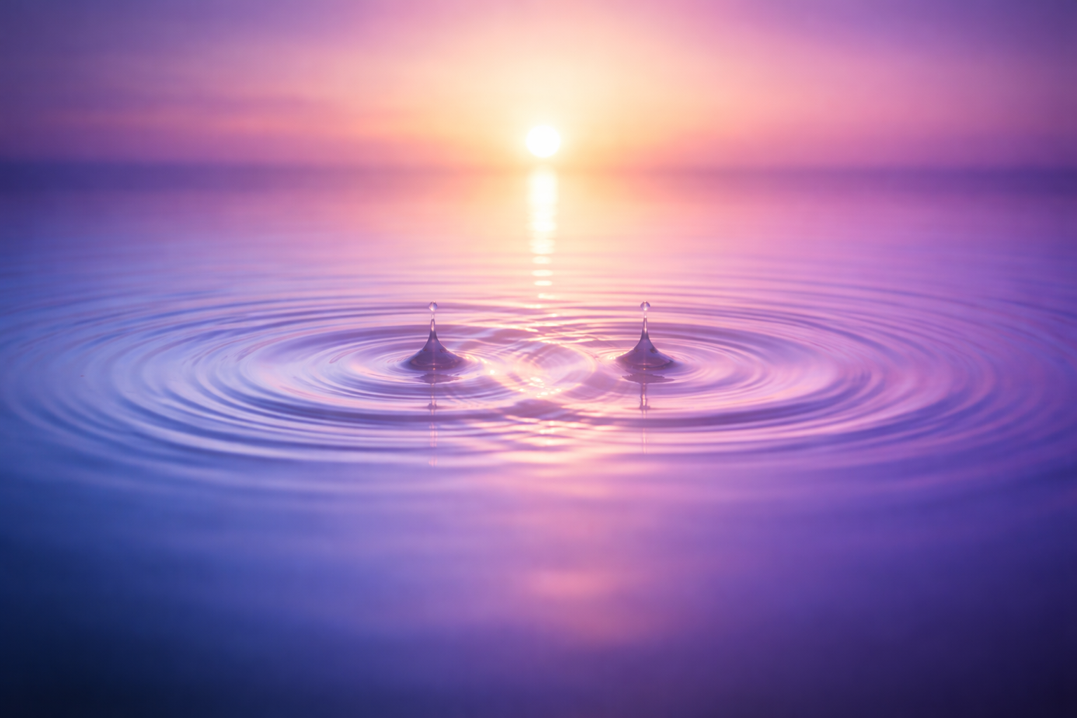 Sympathy: The Quiet Strength