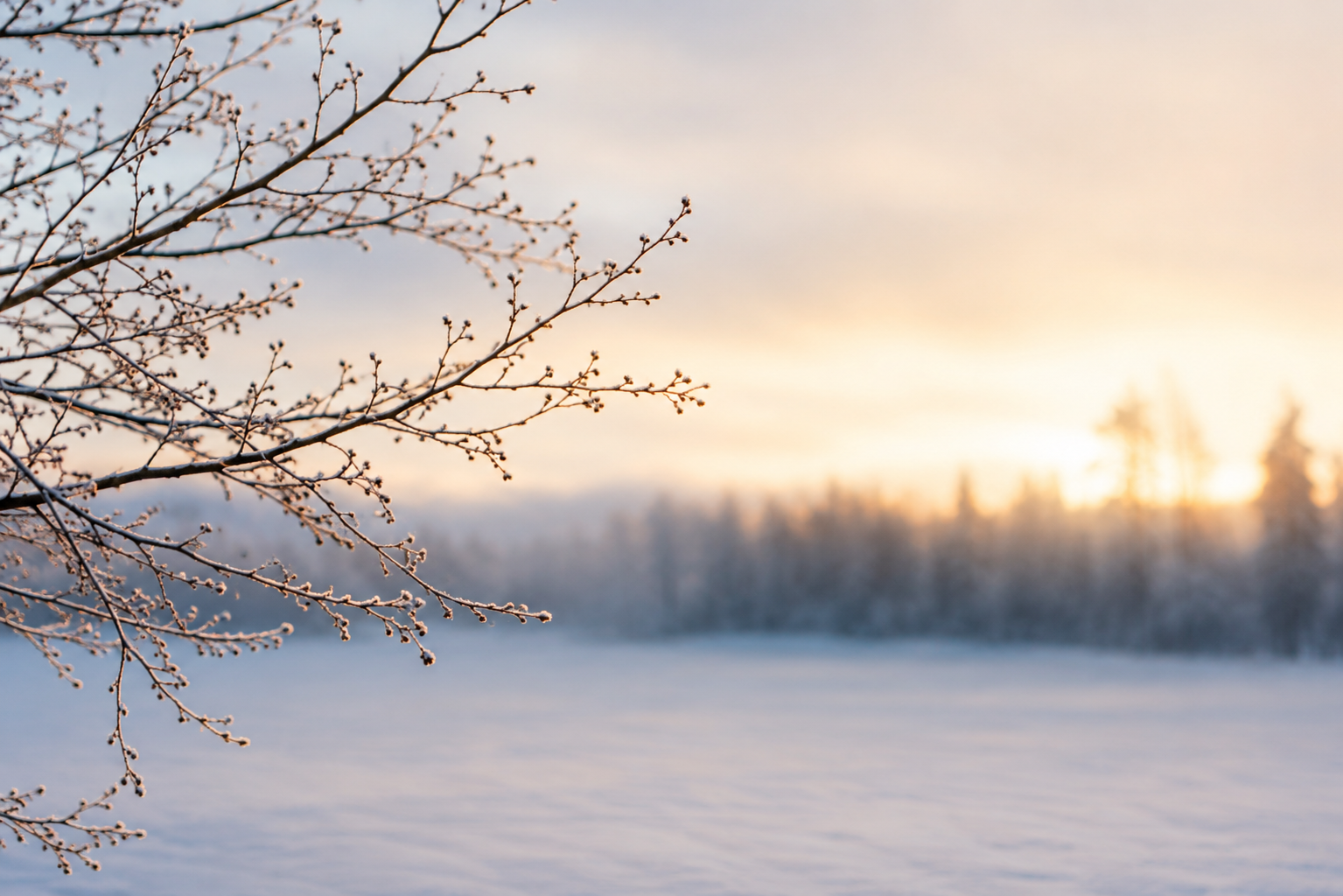 January 2026: The Work of Becoming