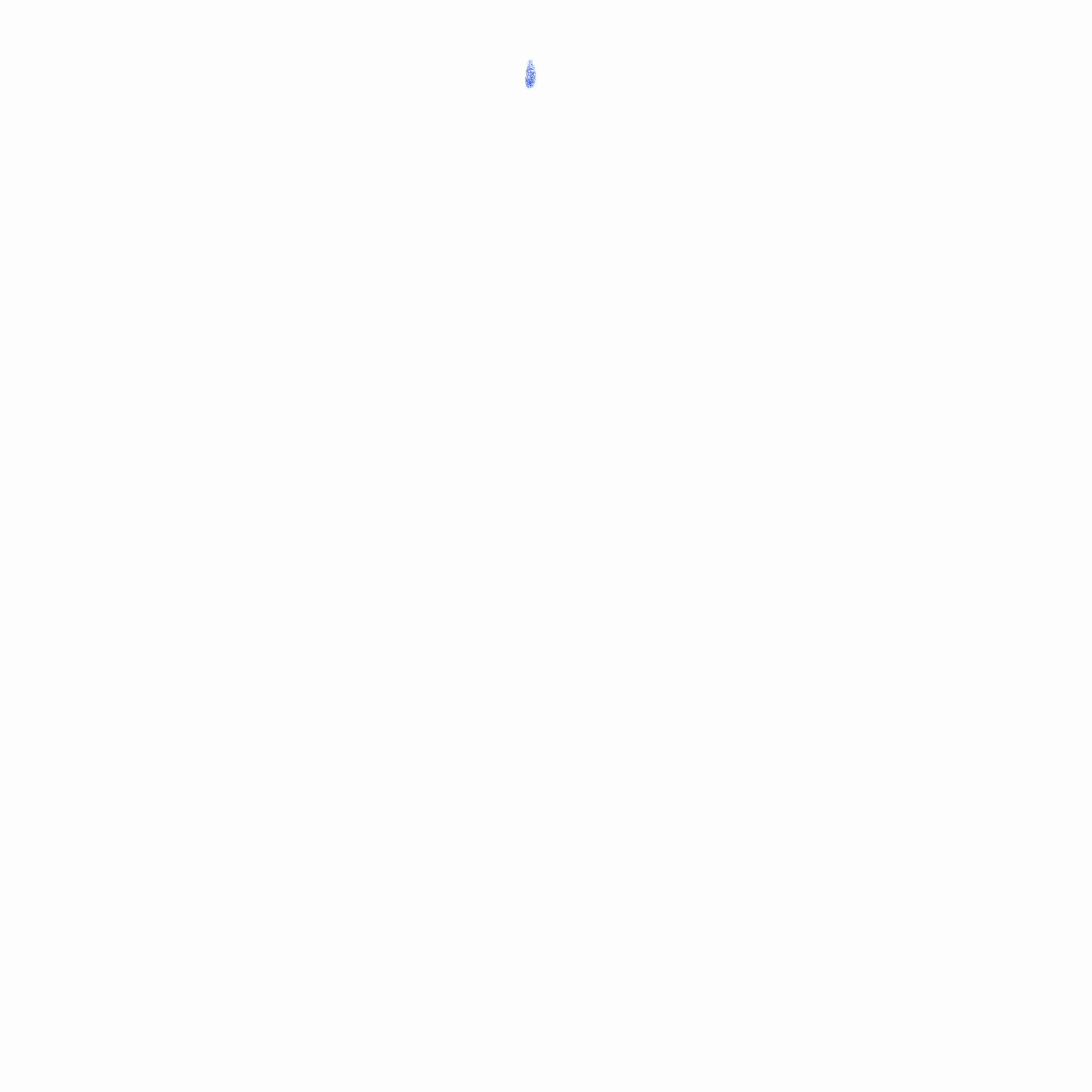 ANIMATION